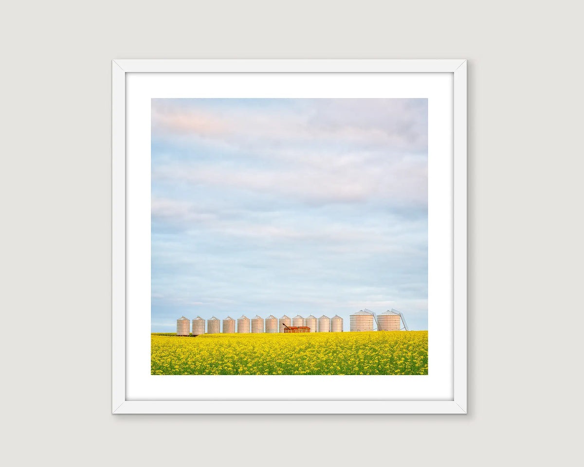 Framed artwork of canola fields and silos in Junee Shire. 