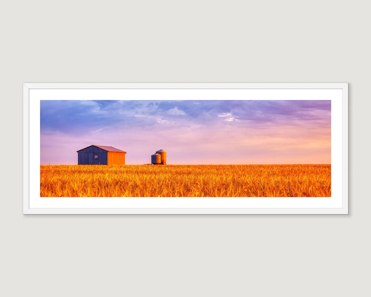 Framed wall art of a rural shed and a silo in a wheat field with a colorful sunset. 