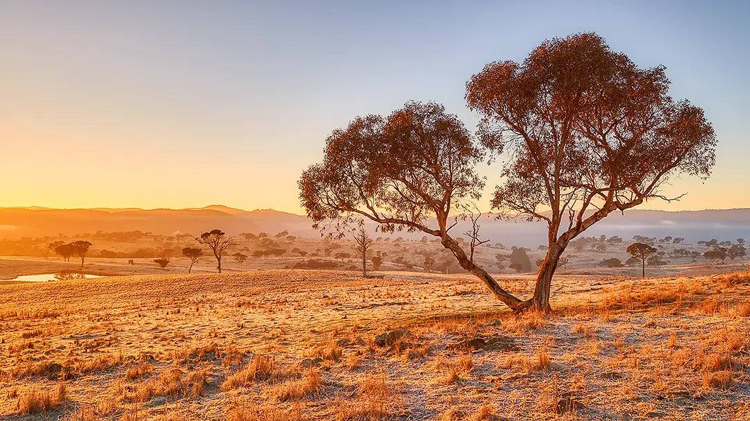Googong acrylic block example image.