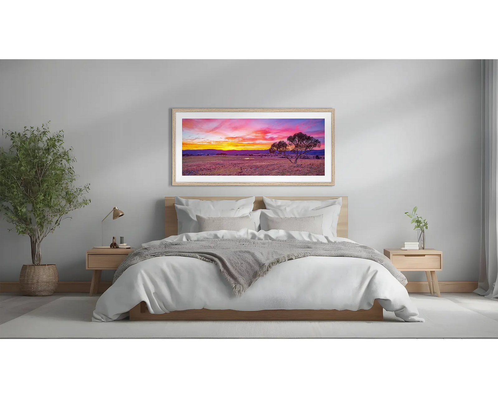 Googong Rising. Snow gum sunrise, Googong, New South Wales, Australia.