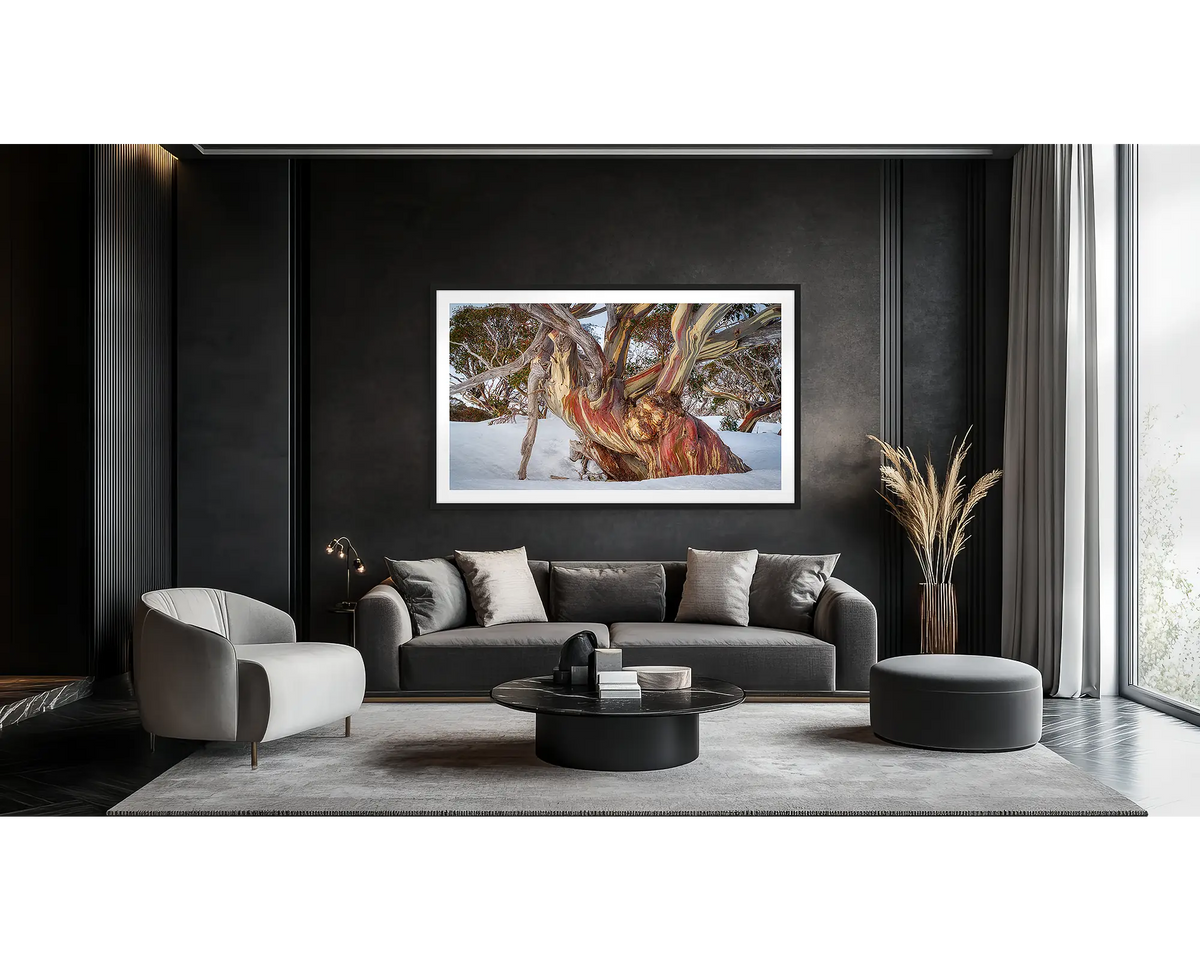 Grandfather. Wall art print of an ancient snow gum in snow, with a black frame hung on a dark lounge room wall. 