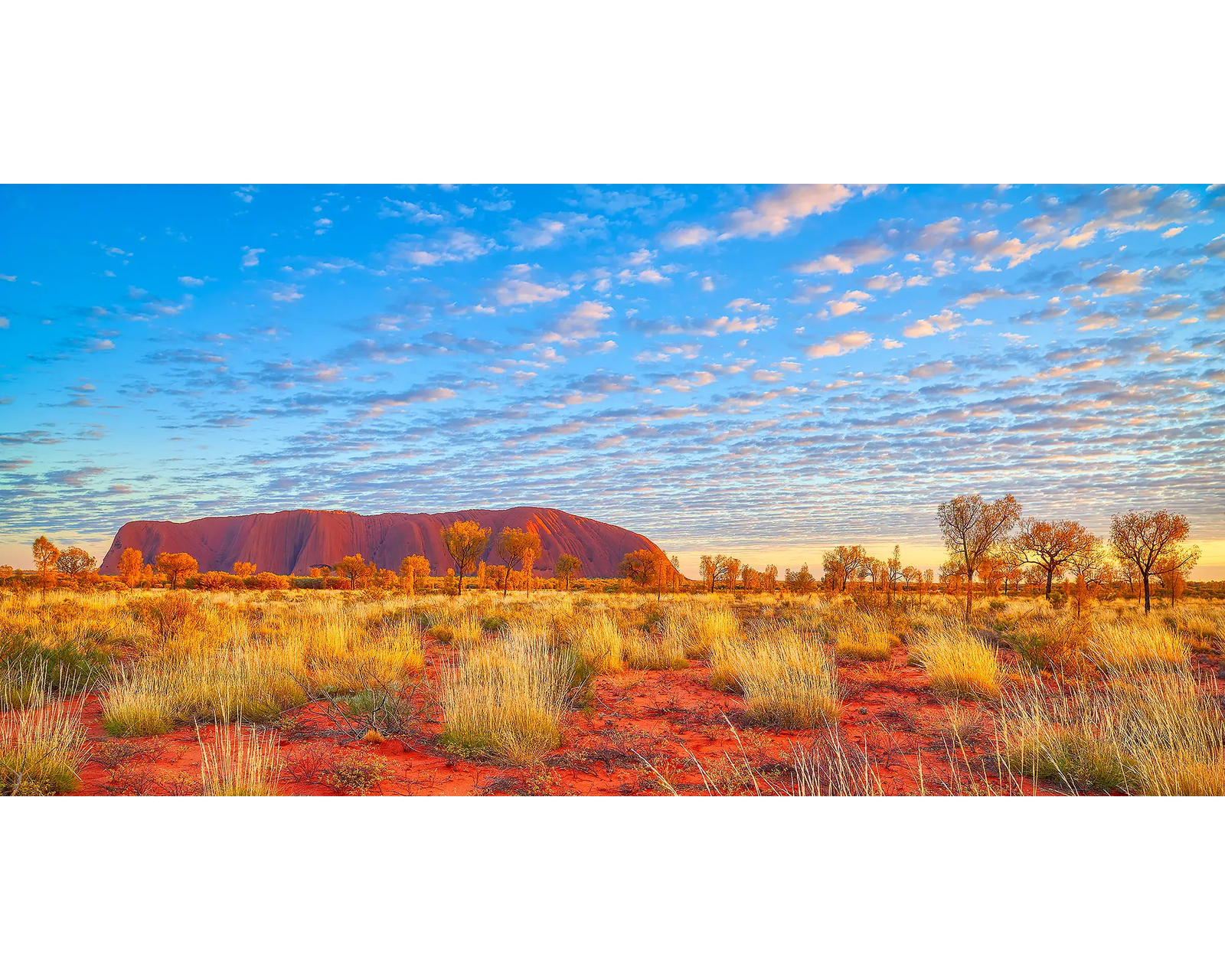 Great Southern Land. Sunrise over Uluru, Northern Territory, Australia.