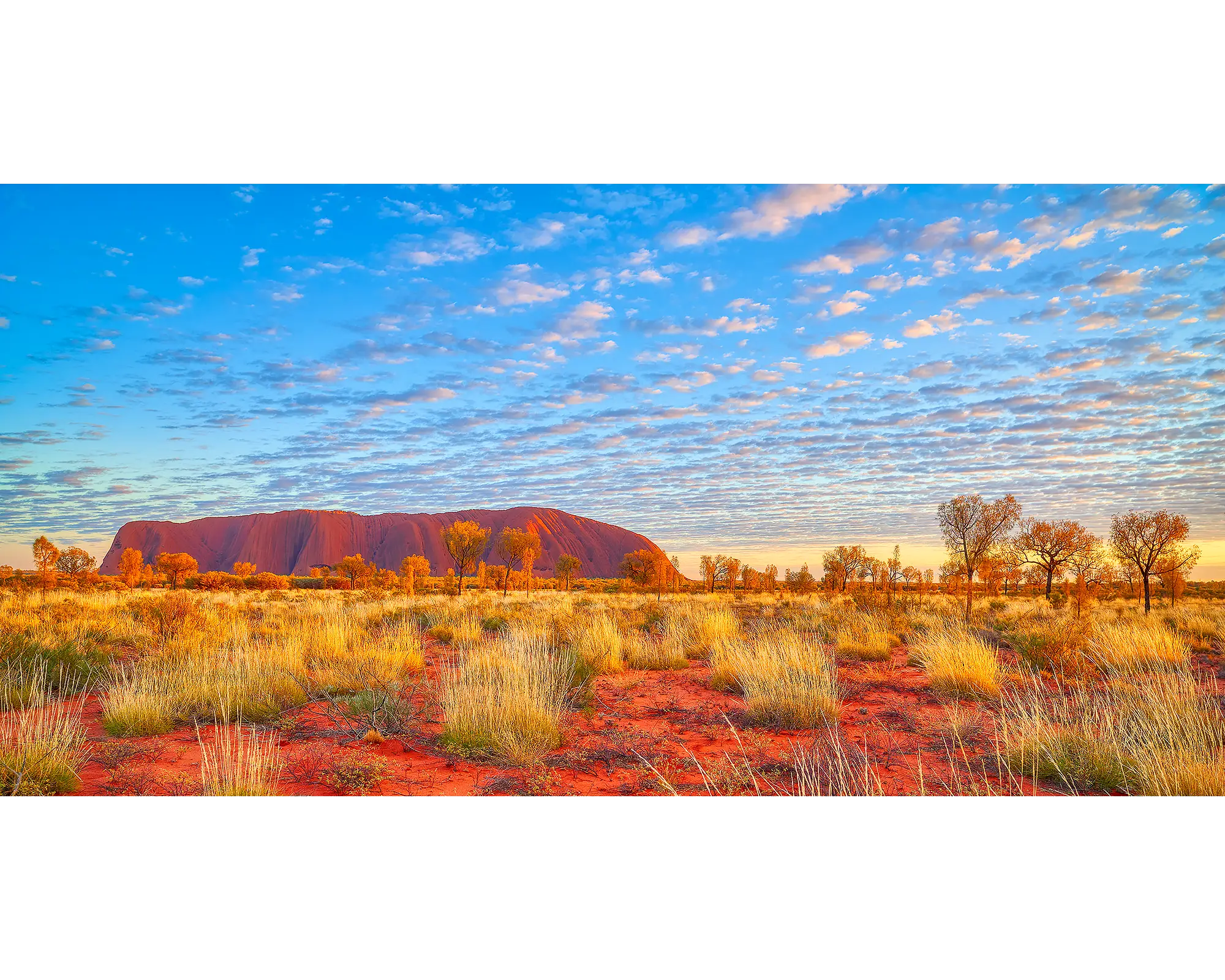 Great Southern Land. Sunrise over Uluru, Northern Territory, Australia.