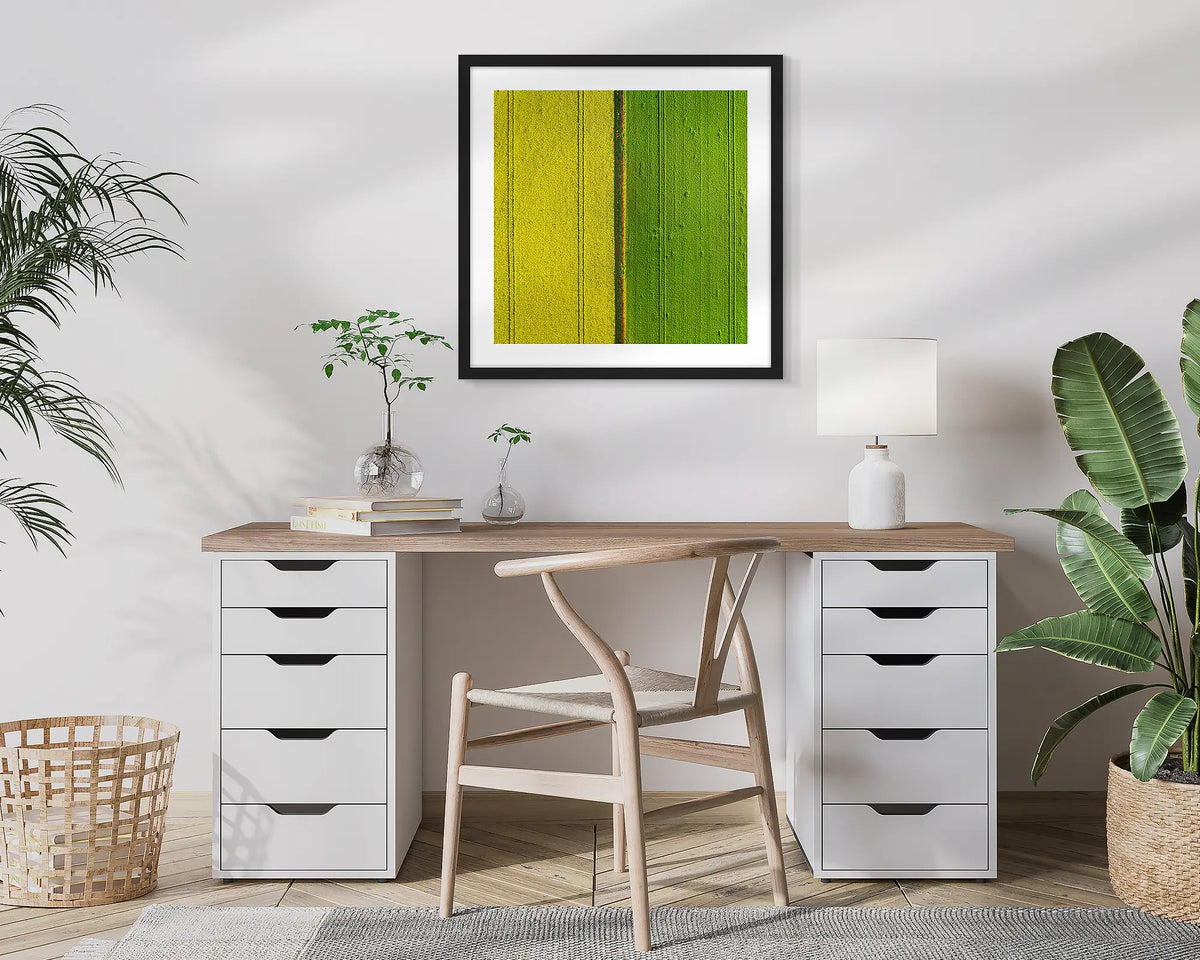 Golden Derby. Aerial, abstract photographic wall art print of canola and wheat,  with a black frame, hung in a home office. 