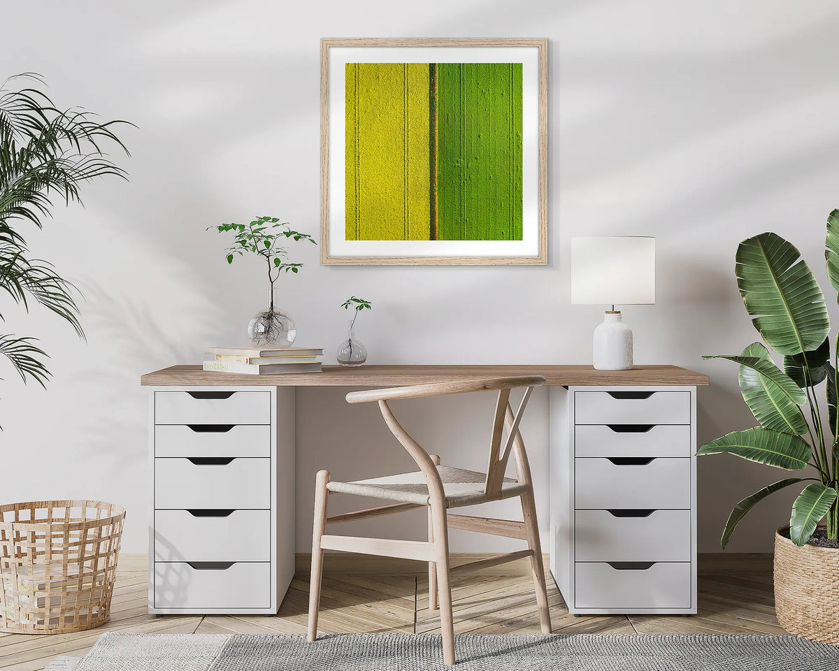 Golden Derby. Aerial, abstract photographic wall art print of canola and wheat,  with a Tassie Oak frame, hung in a home office. 