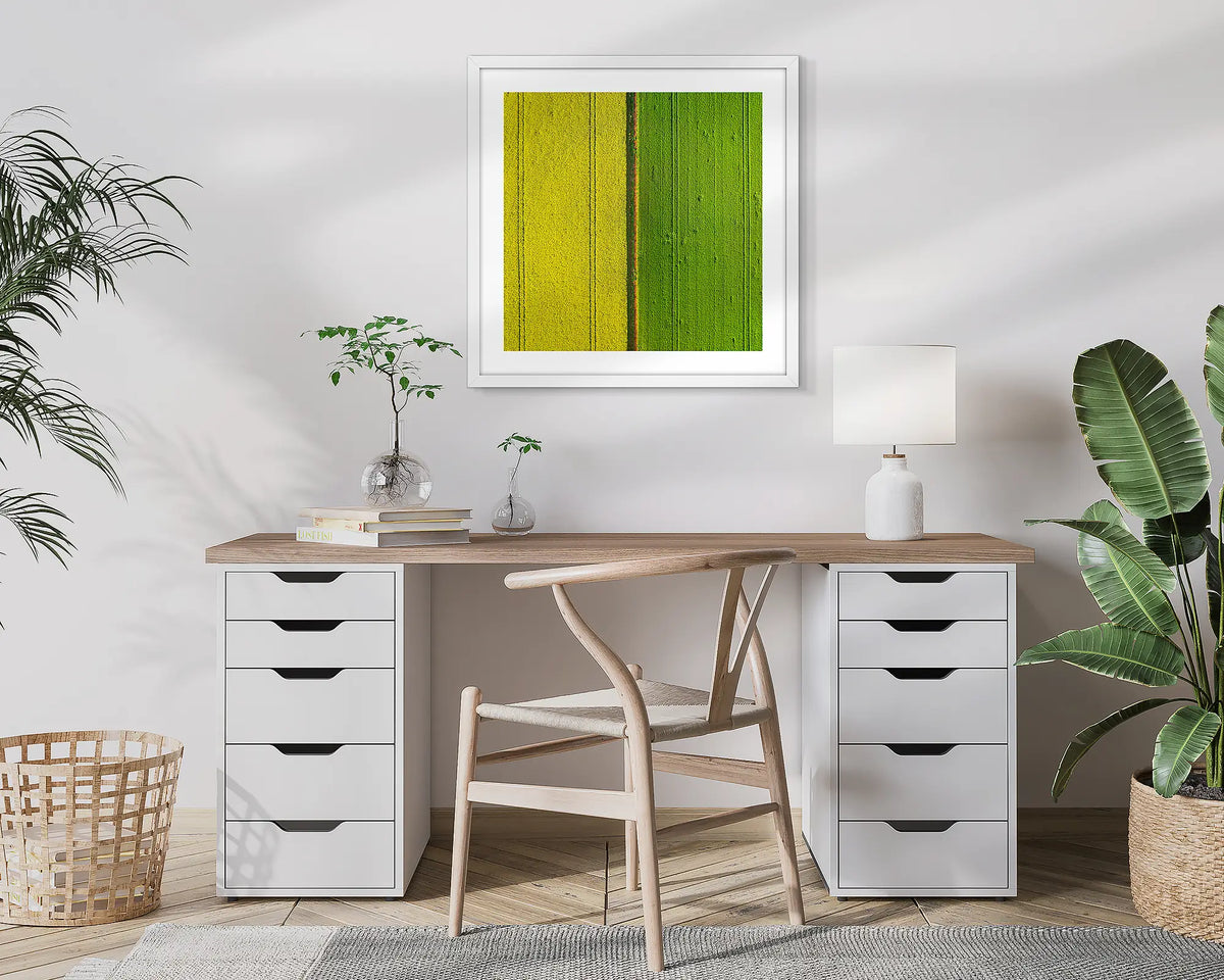 Golden Derby. Aerial, abstract photographic wall art print of canola and wheat,  with a white frame, hung in a home office. 