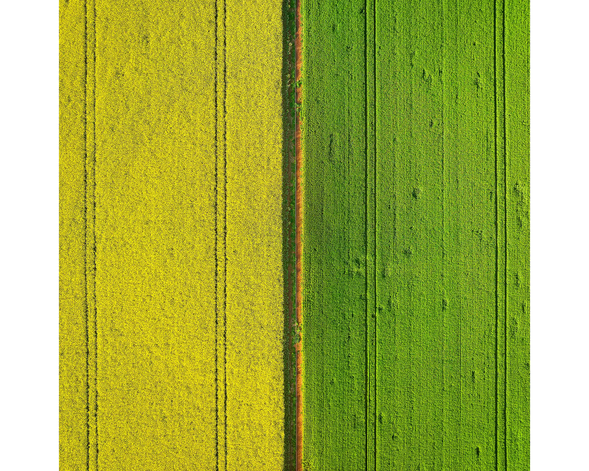 Aerial view of fields in Coolamon Shire, NSW. 