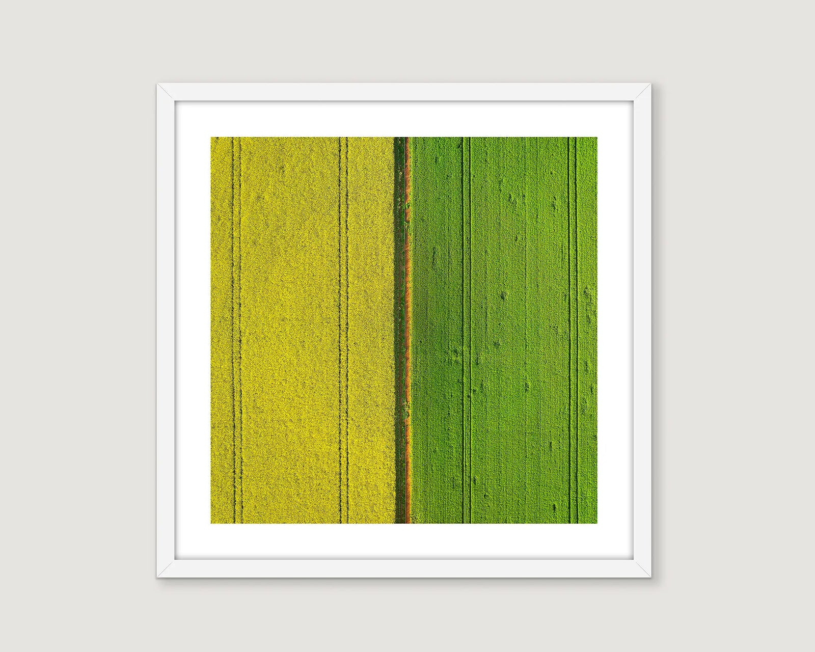 Framed wall art print of an agricultural scene of a road separating a green wheat field and a yellow canola field. 