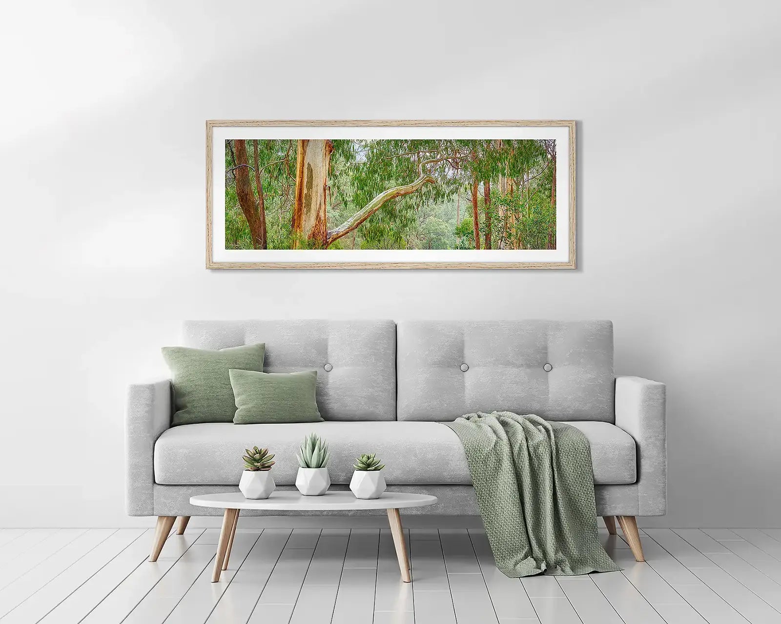Green themed gum tree framed wall art hanging above a couch.