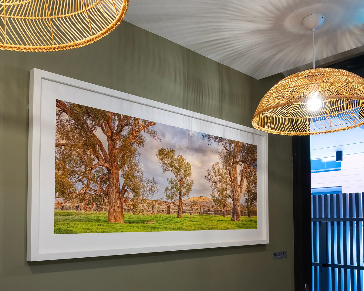 Gundagai Heritage. Historic bridges of Gundagai, with white frame hung on olive green wall, in commercial space.