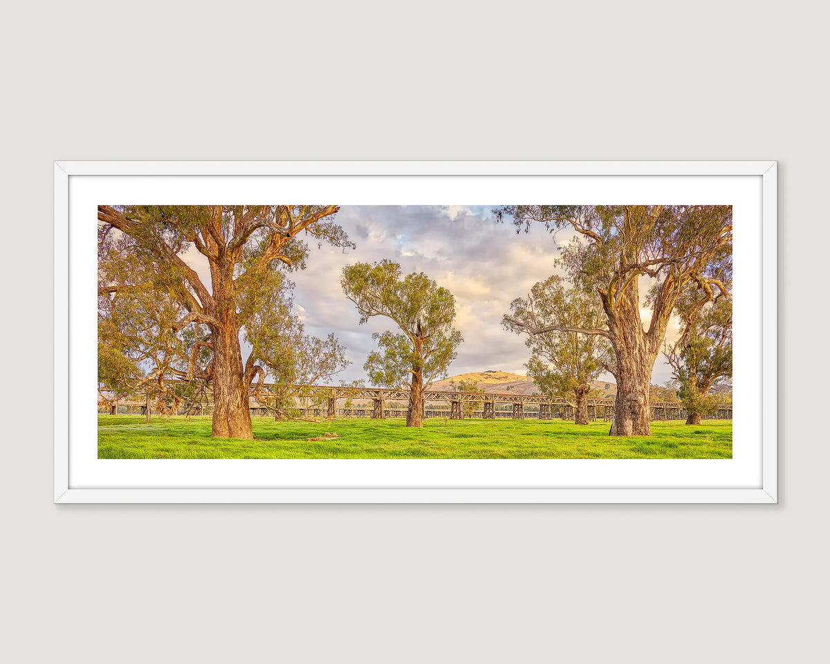 Framed rural wall art print of an old wooden bridge in green fields surrounded by gum trees, near Gundagai. 