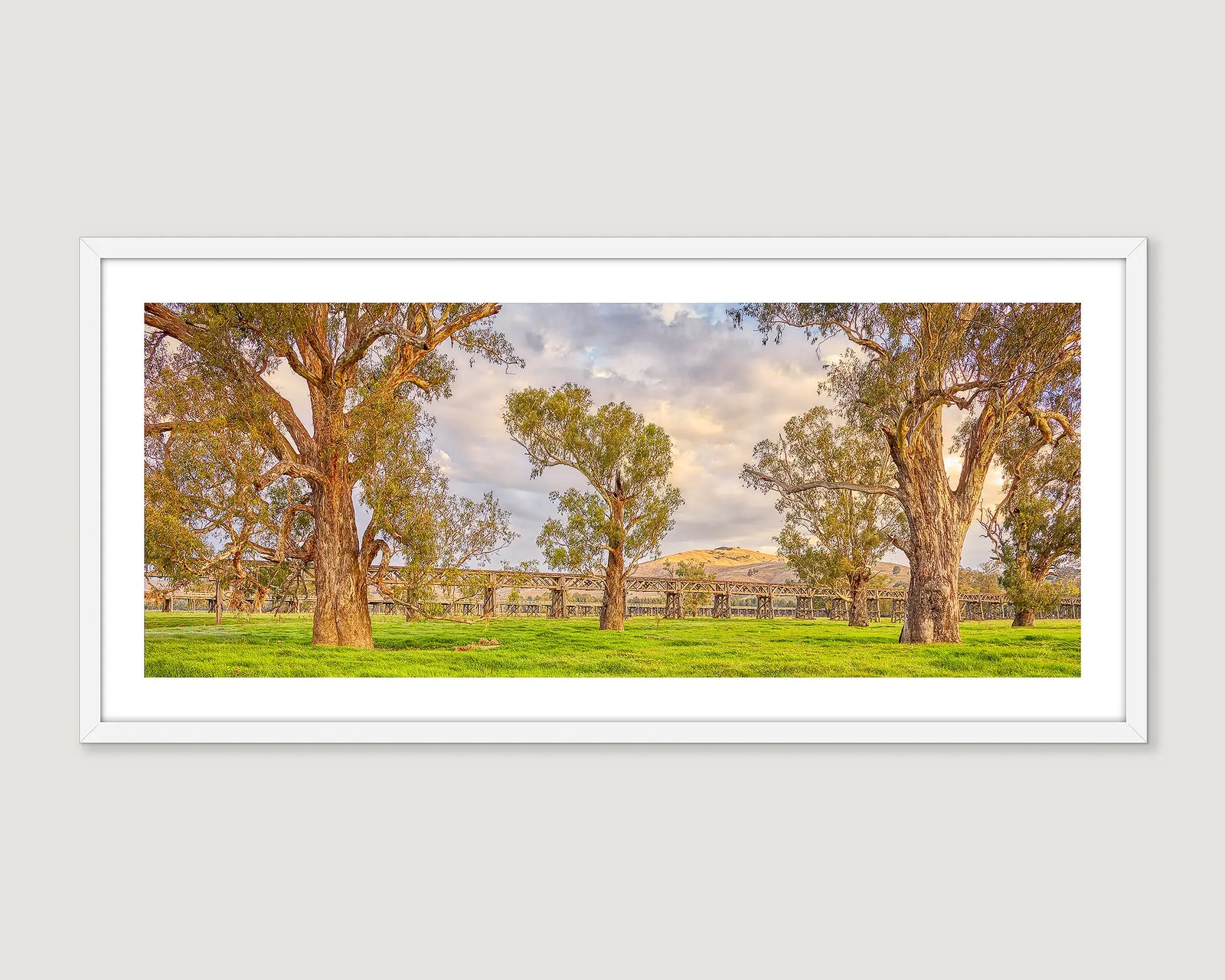 Framed rural wall art print of an old wooden bridge in green fields surrounded by gum trees, near Gundagai. 