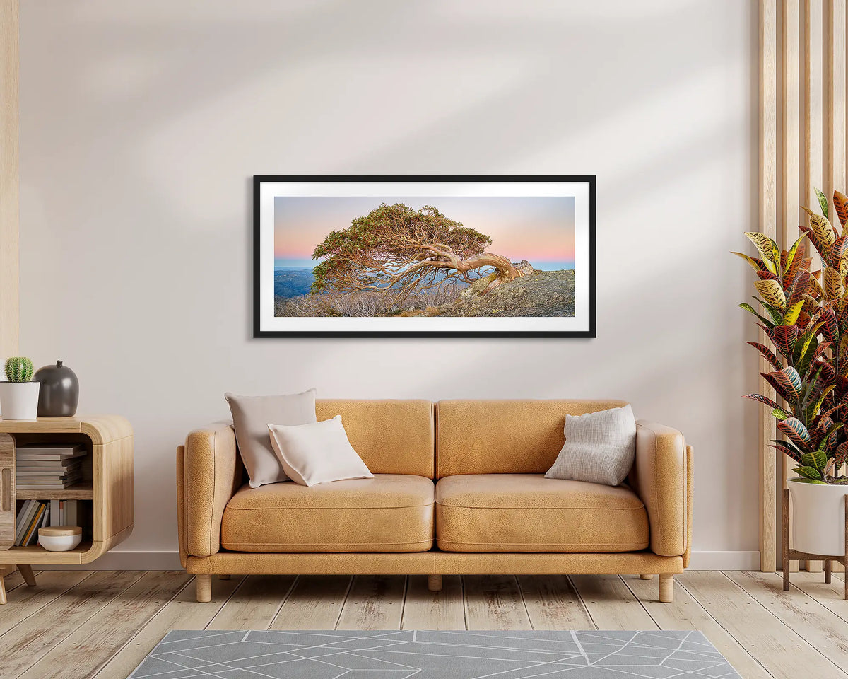 Hanging On. Framed wall art print of a snow gum on Mount Gingera, with a black frame, hung above a leather couch.