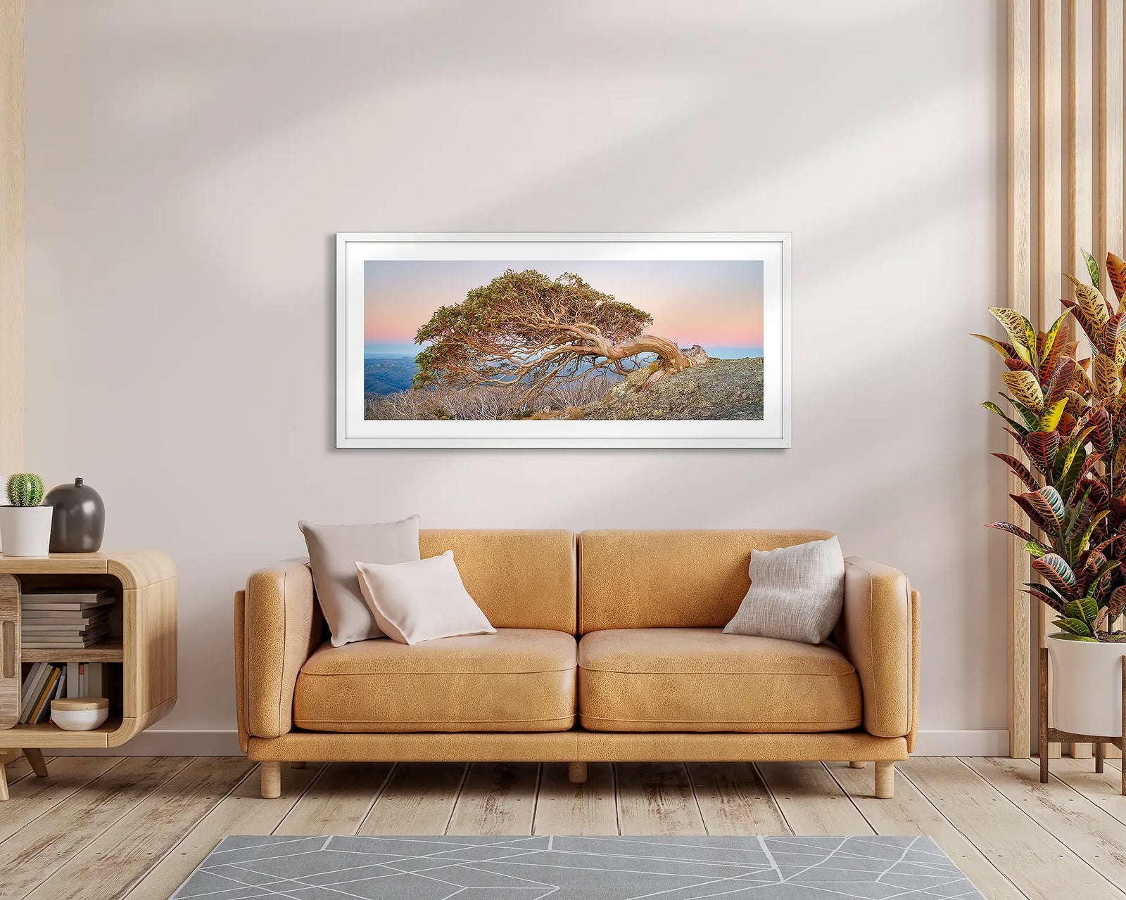 Hanging On. Snow Gum on Mount Gingera.