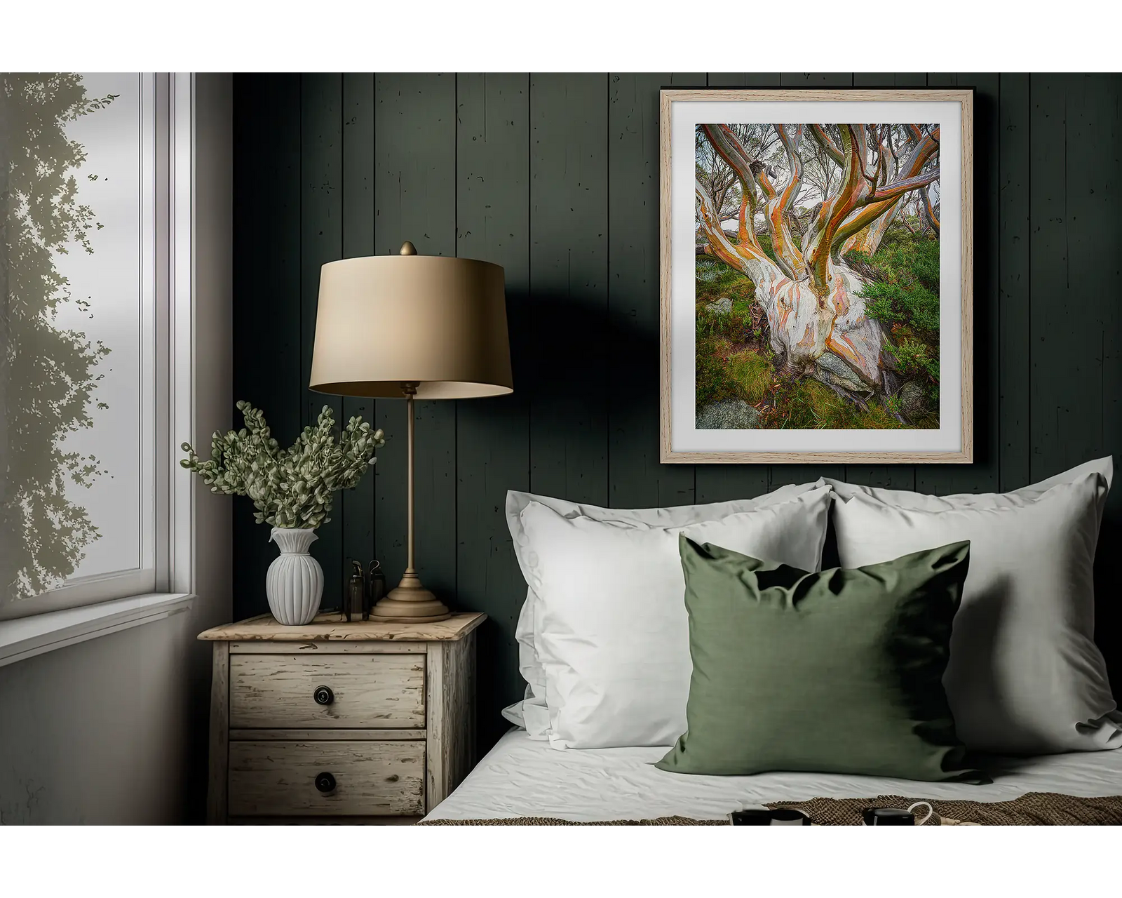 Heart Of The Alps. Snow gum colours with wet bark, Kosciuszko National Park.