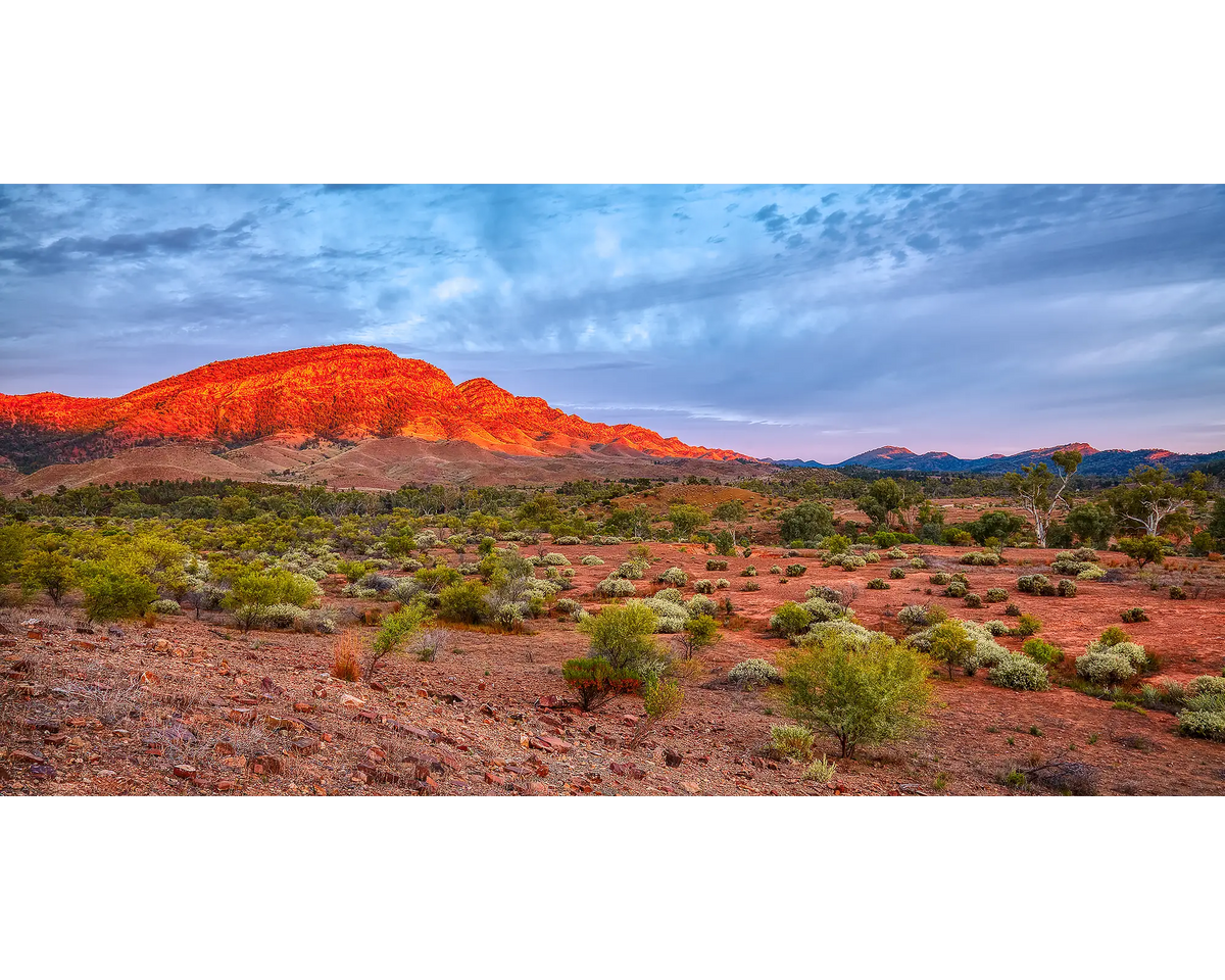 Heysen Heartand. Sunrise lighting up Heyson Range red, in Flinders Ranges, South Australia.