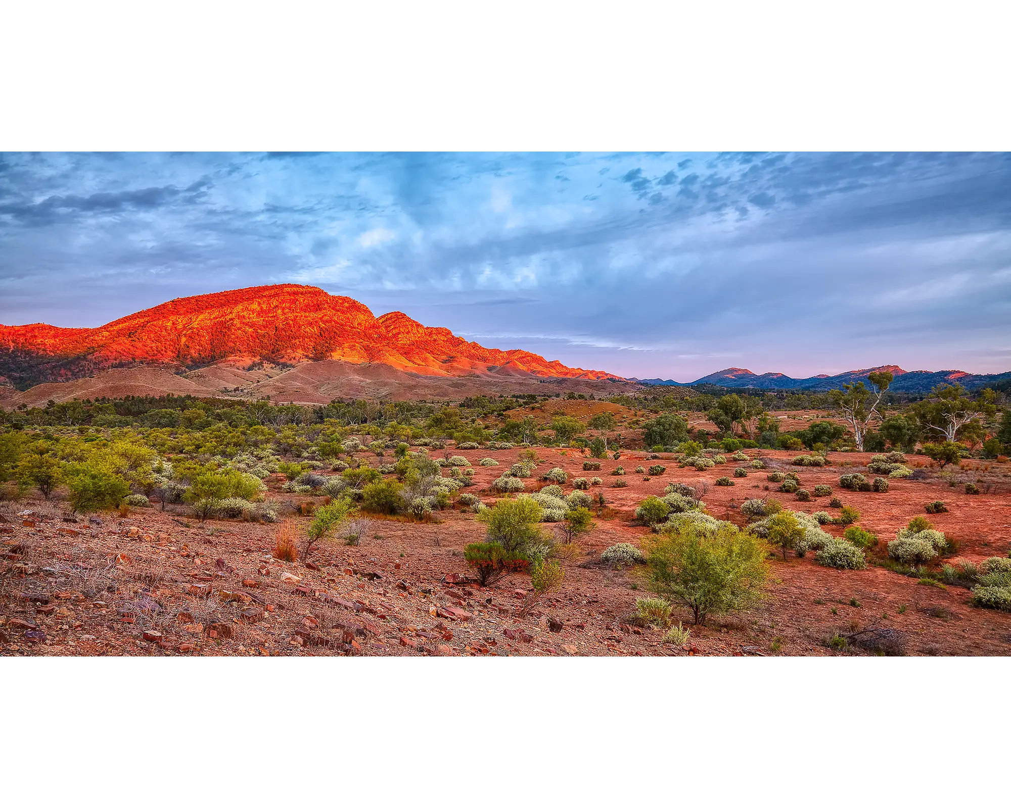 Heysen Heartand. Sunrise lighting up Heyson Range red, in Flinders Ranges, South Australia.