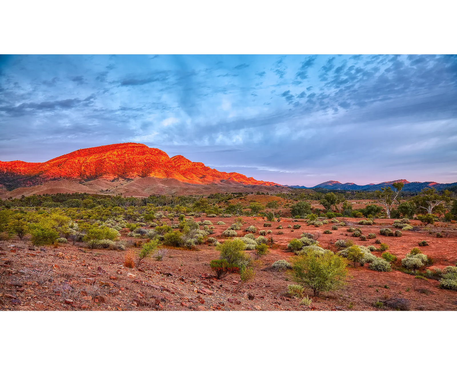 Heysen Heartland. Sunrise over Heysen Range, Flinders Ranges, South Australia.