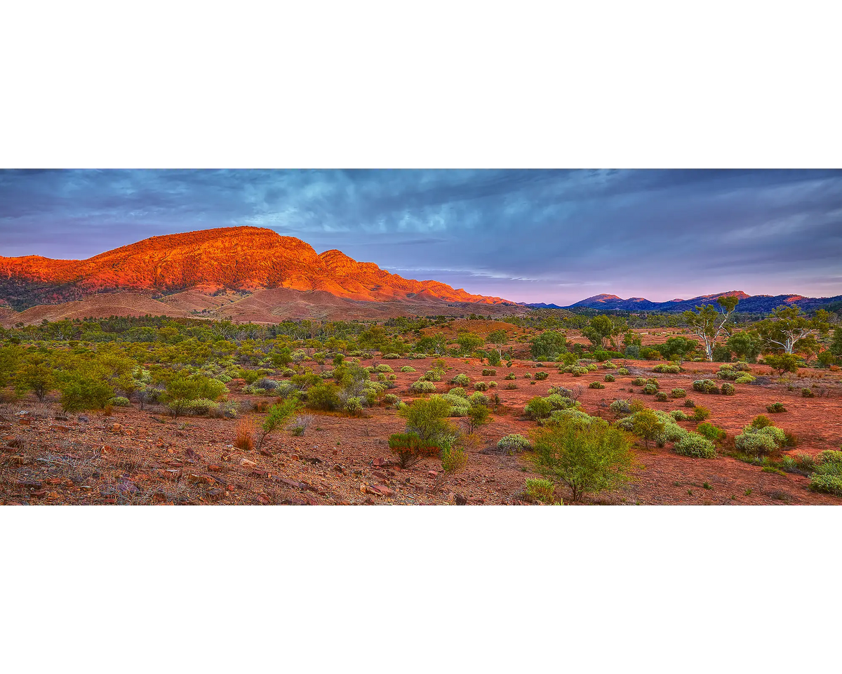 Heysen Heartland - Sunrise on Heysen Range, Flinders Ranges, South Australia.