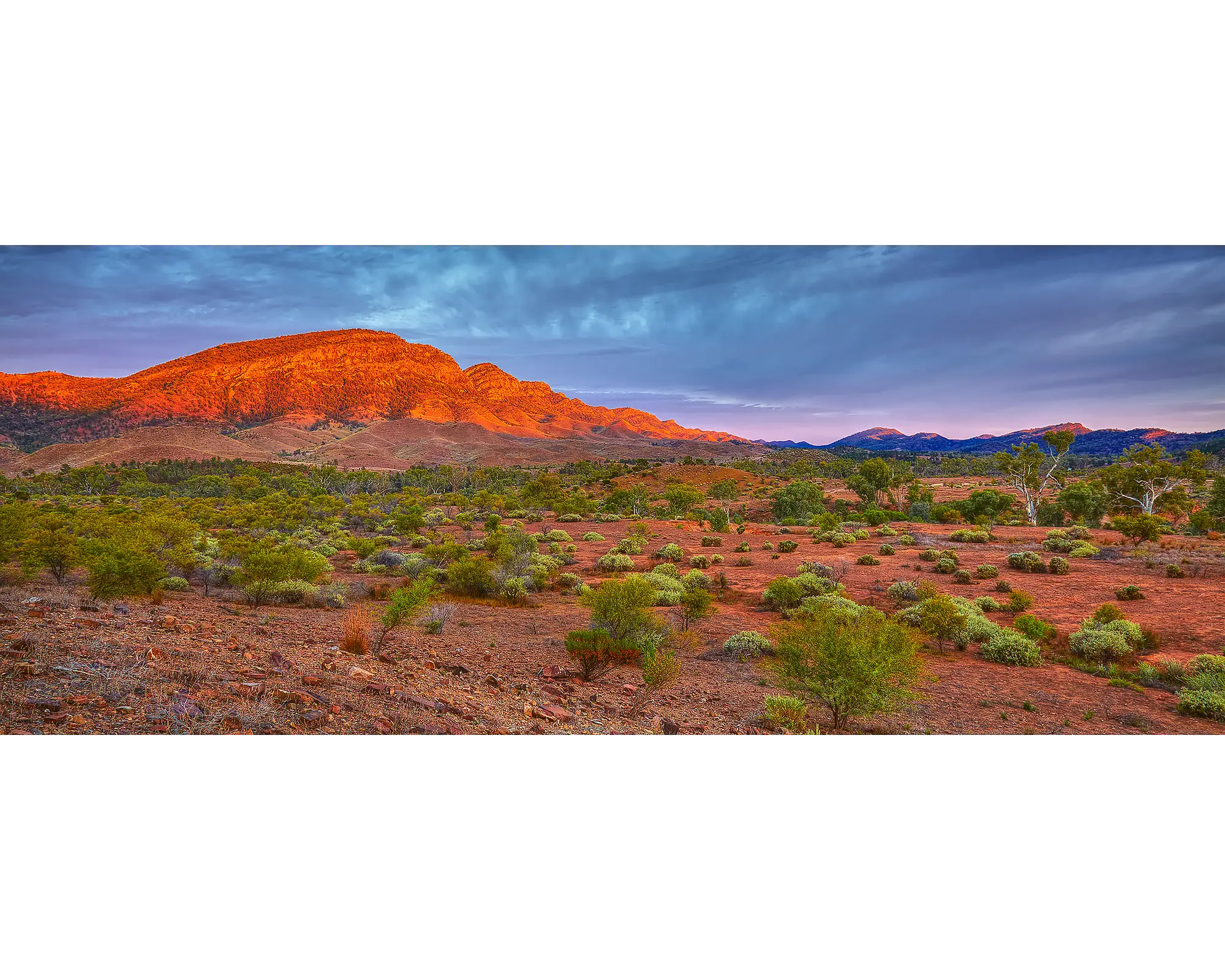 Heysen Heartland - Sunrise on Heysen Range, Flinders Ranges, South Australia.