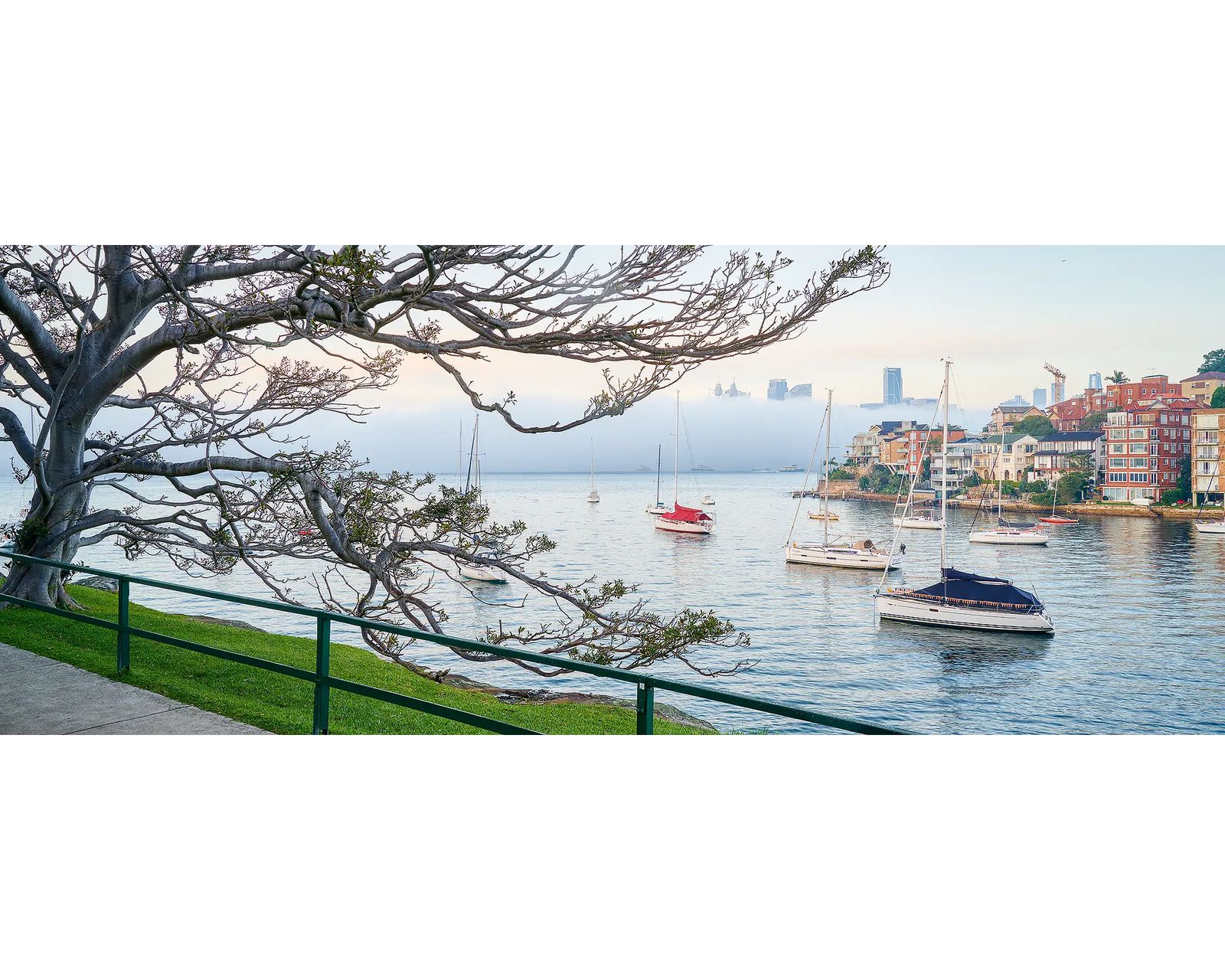 Sydney Harbour with fog at sunrise.