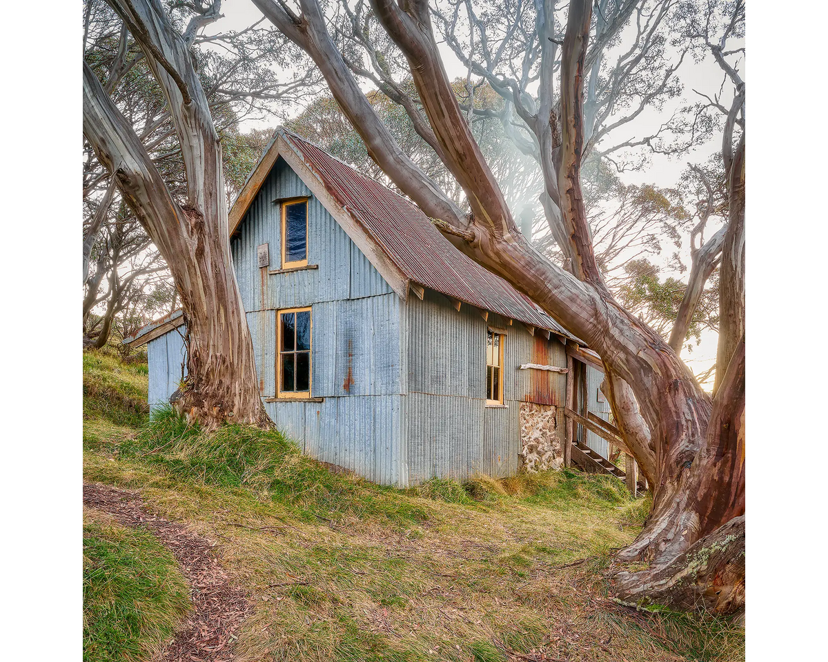 Cope Hut amongst snow gums on the Bogong High Plians.