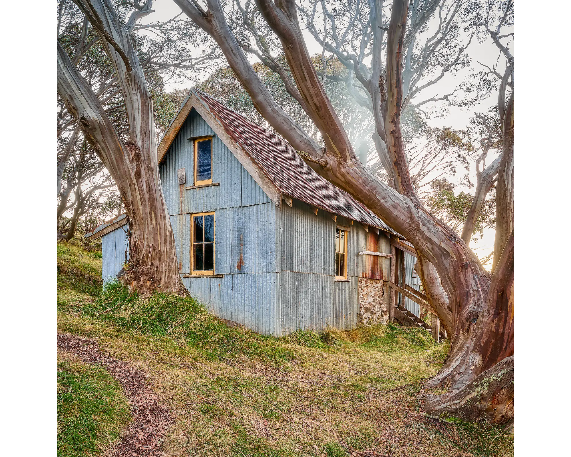 Cope Hut amongst snow gums on the Bogong High Plians.