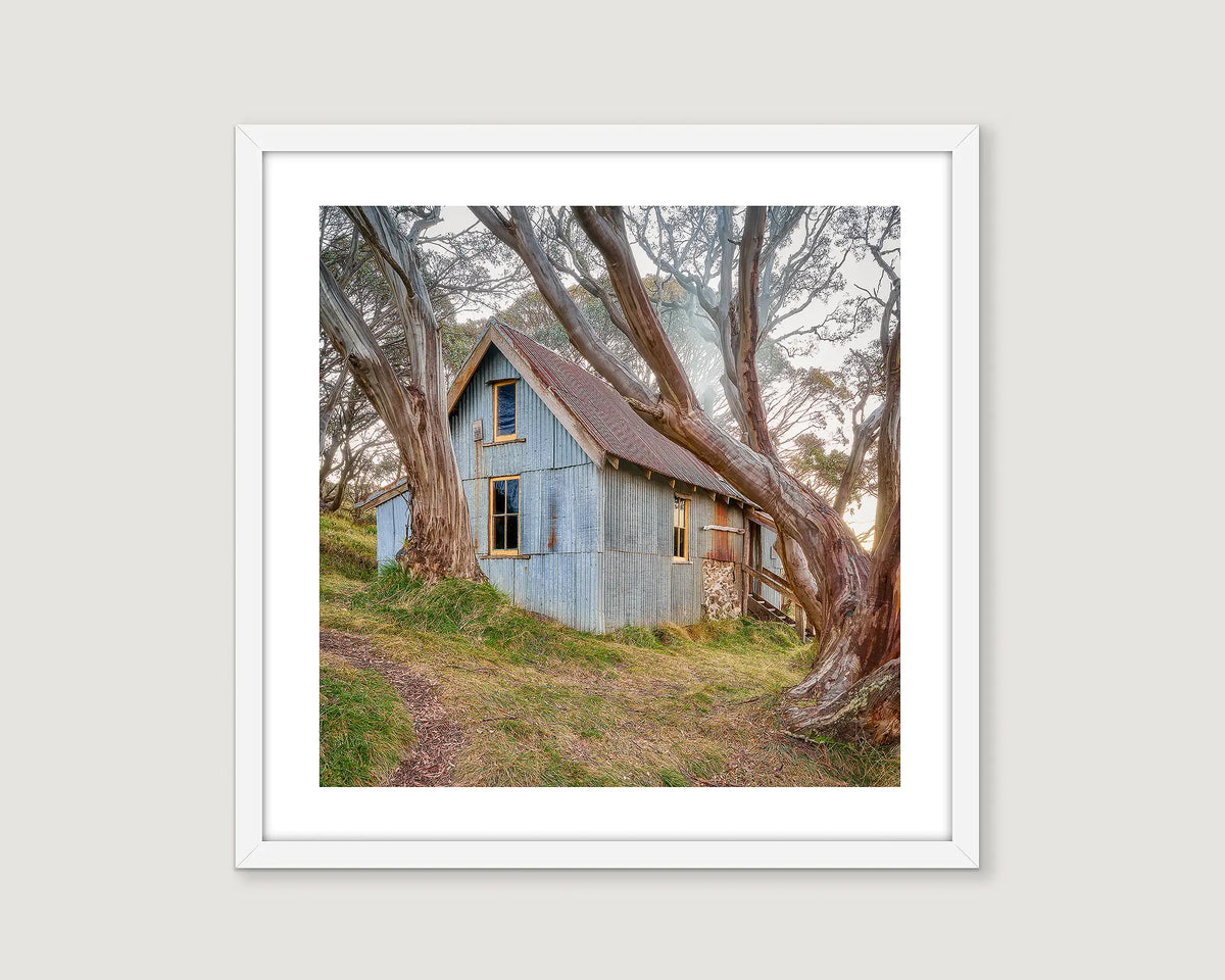 Framed wall art print of Cope Hut nestled among gnarly snow gums on Mount Bogong. 