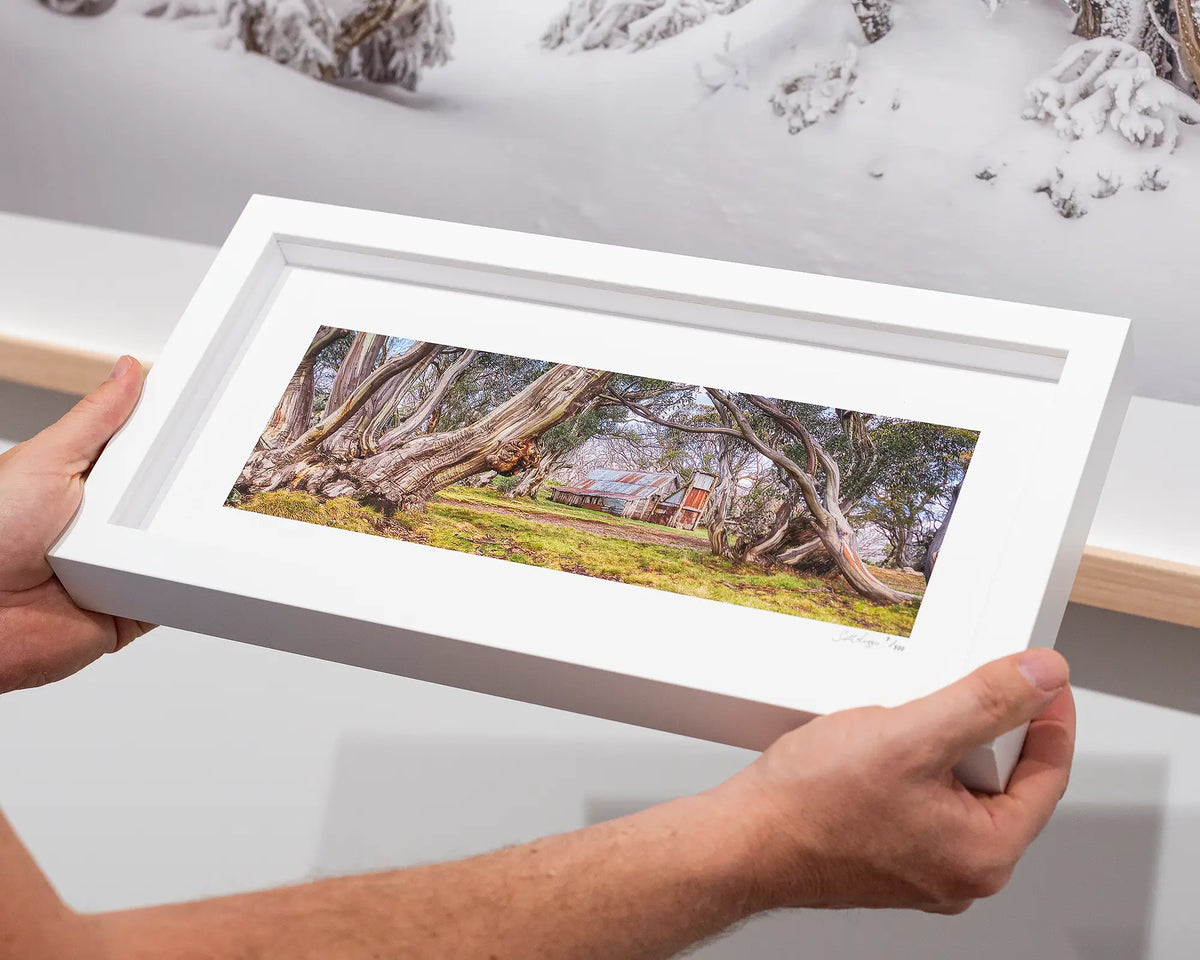 High Country Refuge - Alpine snow gum Wallaces Hut artwork with small white frame.