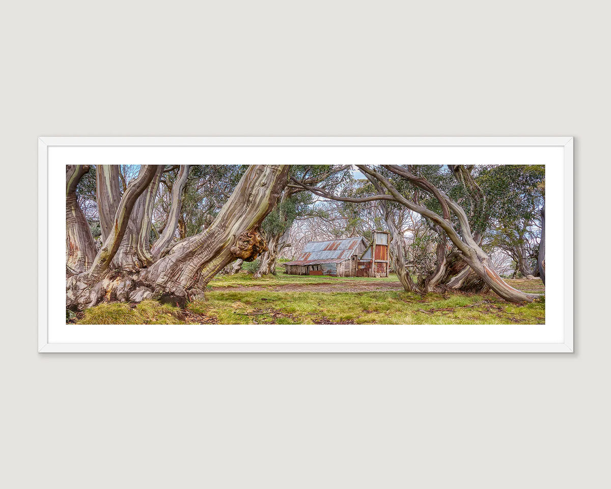 Framed wall art print of Wallaces Hut nestled among gnarly snow gums on the High Plains. 