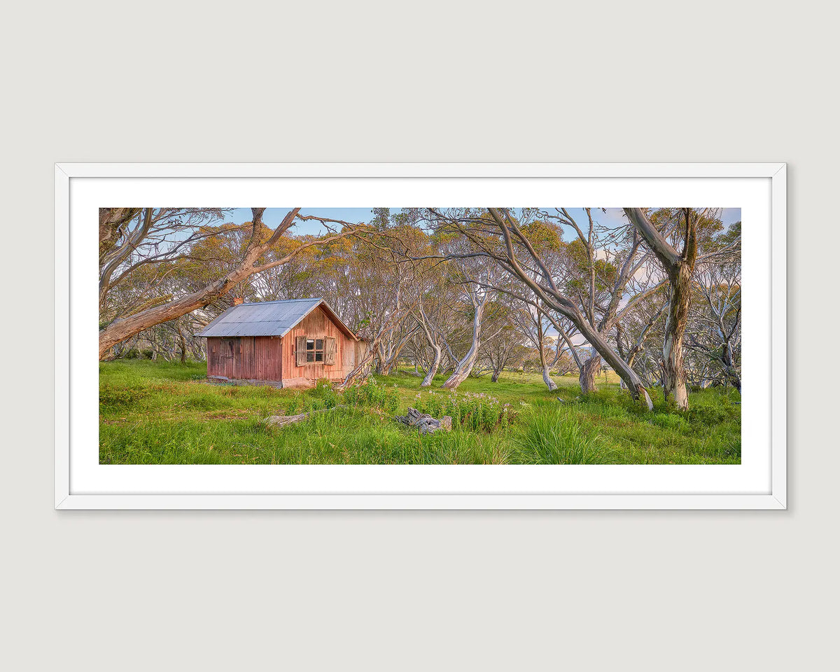 Famed wall art print of snow gums and wild flowers around JB Hut in the Alpine High Country. 