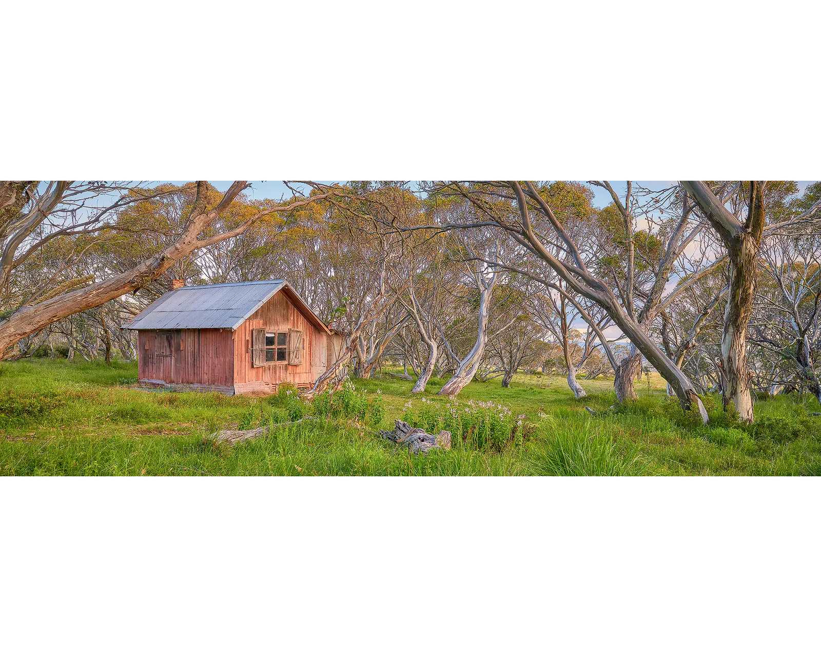 JB Hut at surrounded by snow gums at Dinner Plain, Alpine National Park.