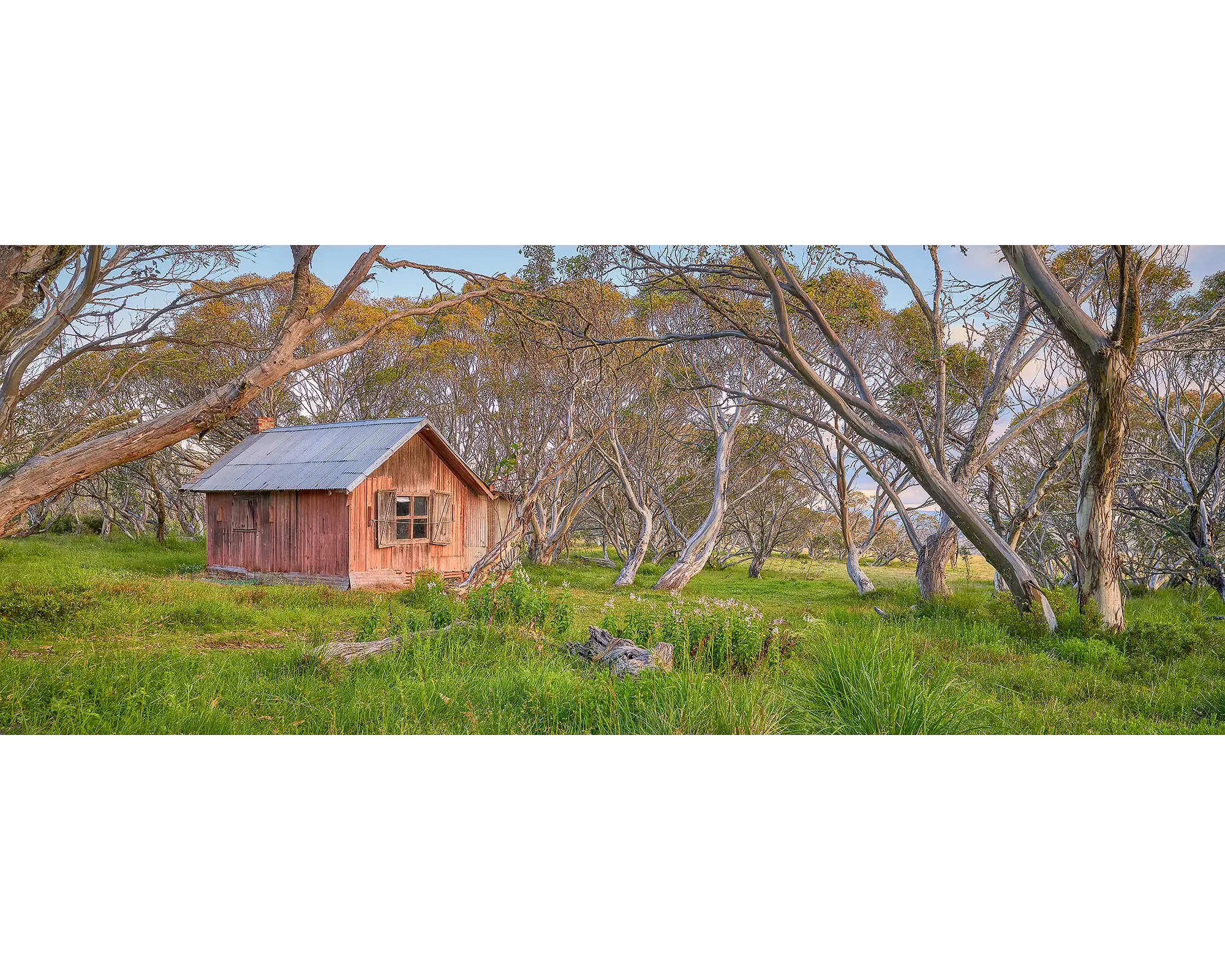 JB Hut at Dinner Plain surrounded by snow gums, Alpine National Park.