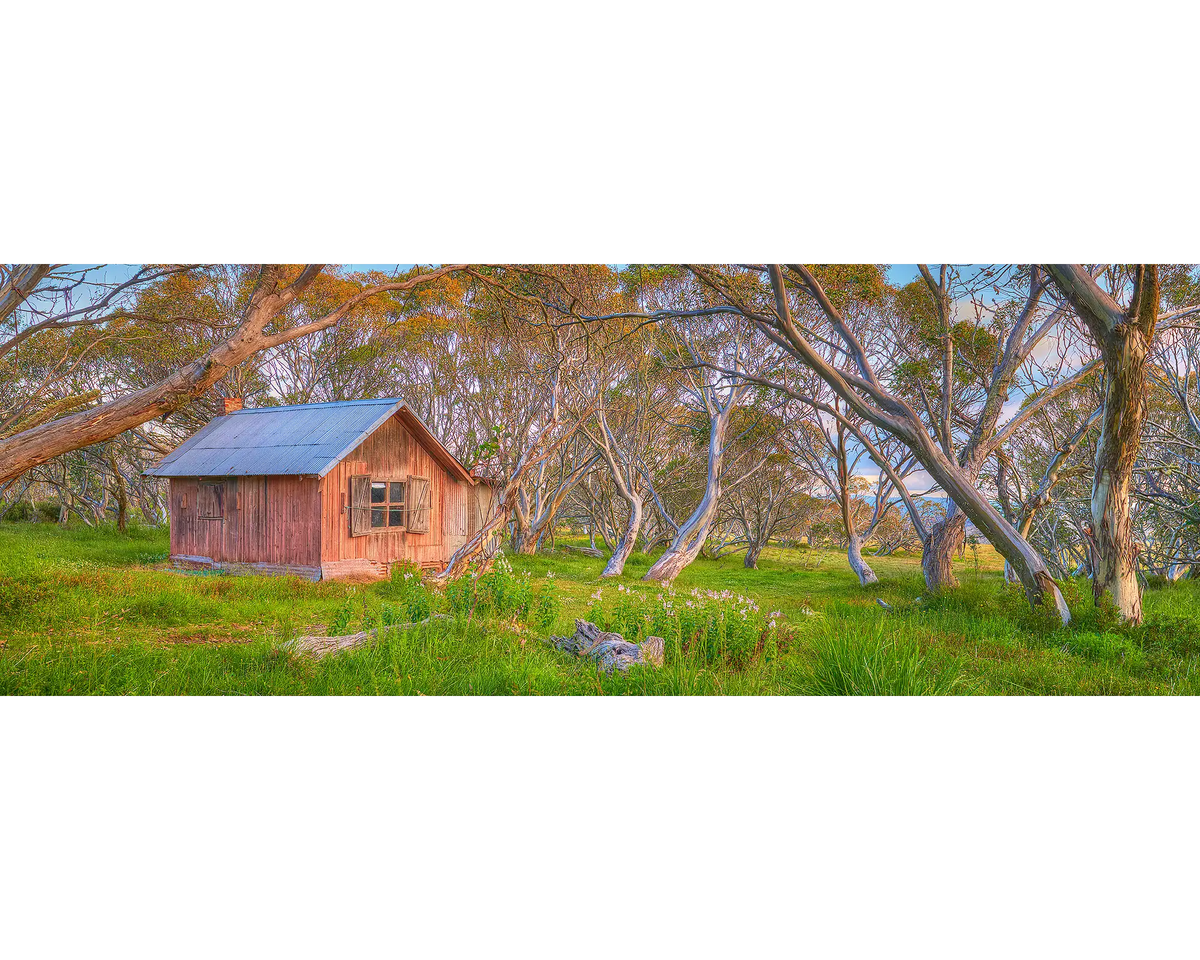 JB Hut surrounded by snow gums in Alpine National Park, Victoria. 