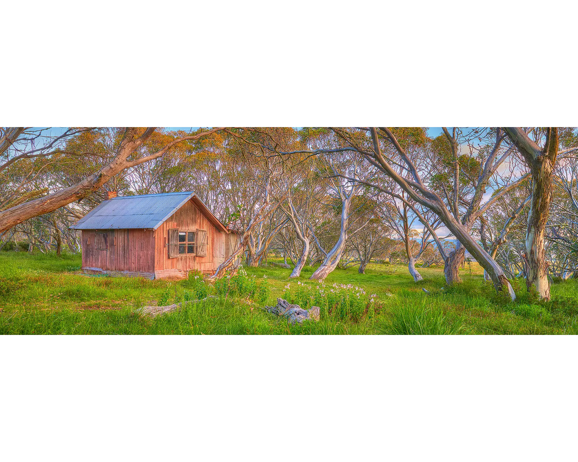 JB Hut surrounded by snow gums in Alpine National Park, Victoria. 
