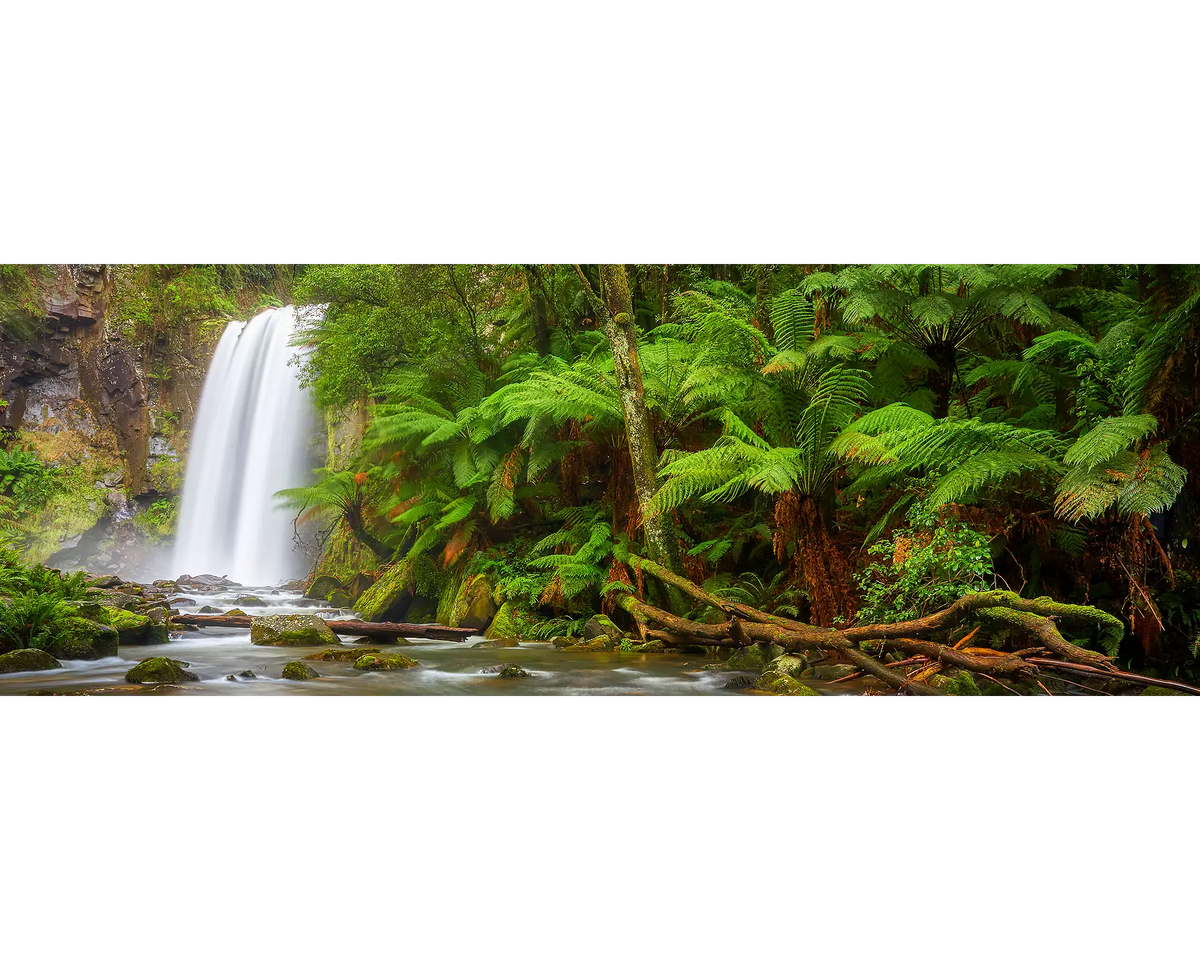 Hopetoun Falls, Great Otway National Park, Victoria.