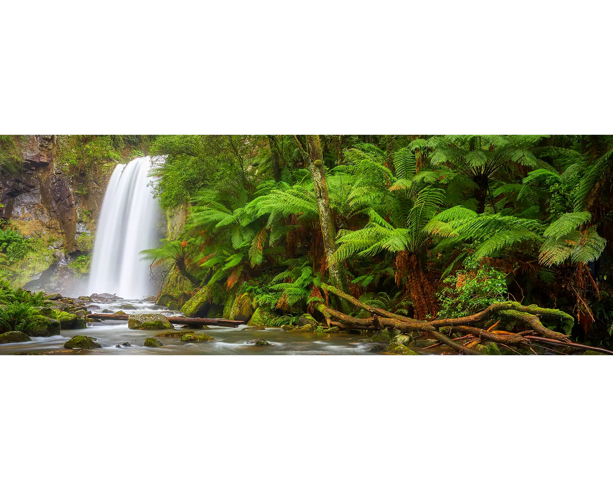 Hopetoun Falls, Great Otway National Park, Victoria.