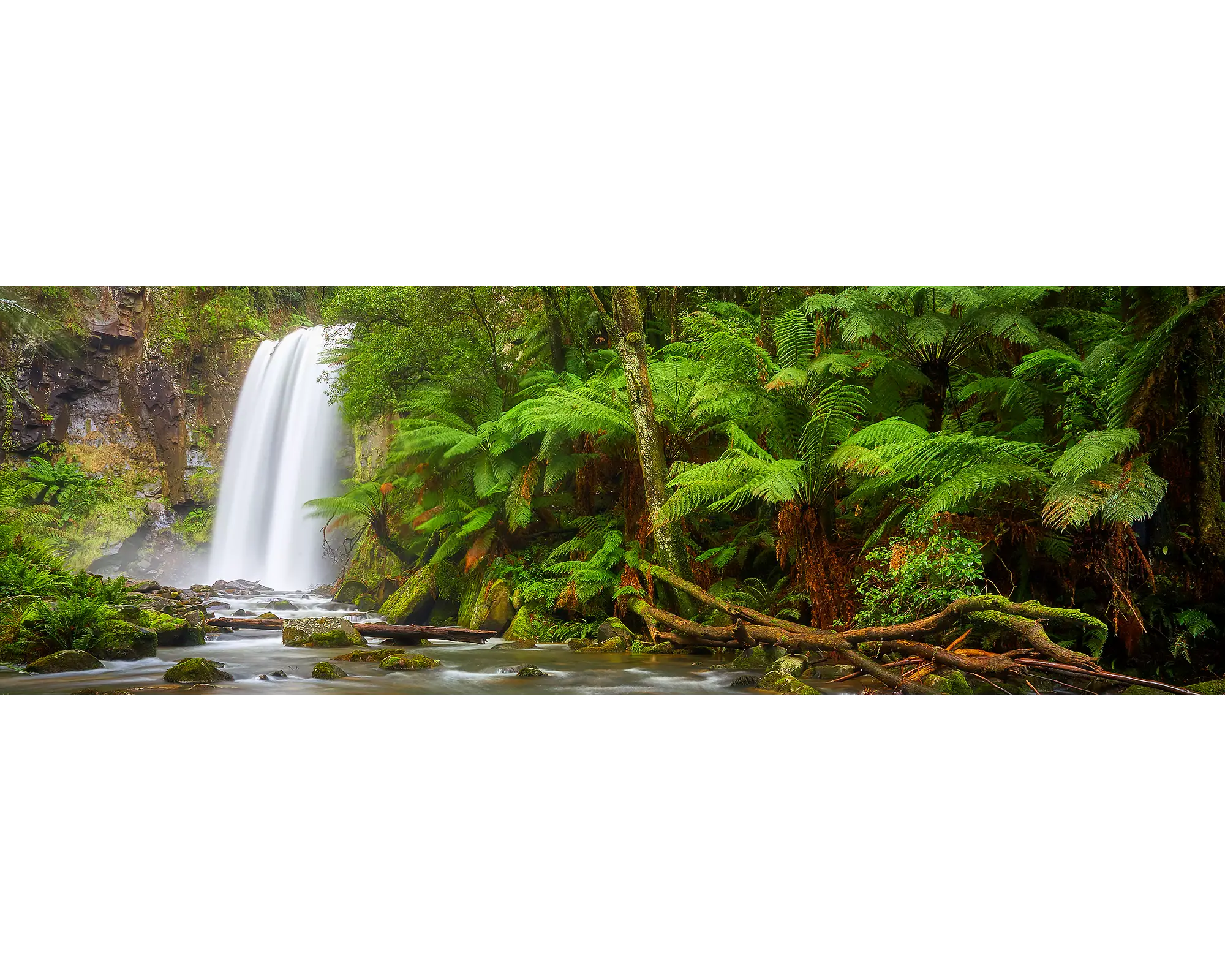 Hopetoun Falls. Great Otway National Park, Victoria, Australia.