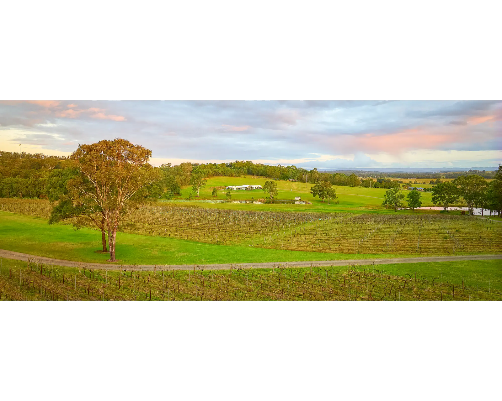 Hunter Valley Retreat. Molly Morgan winery at sunset.