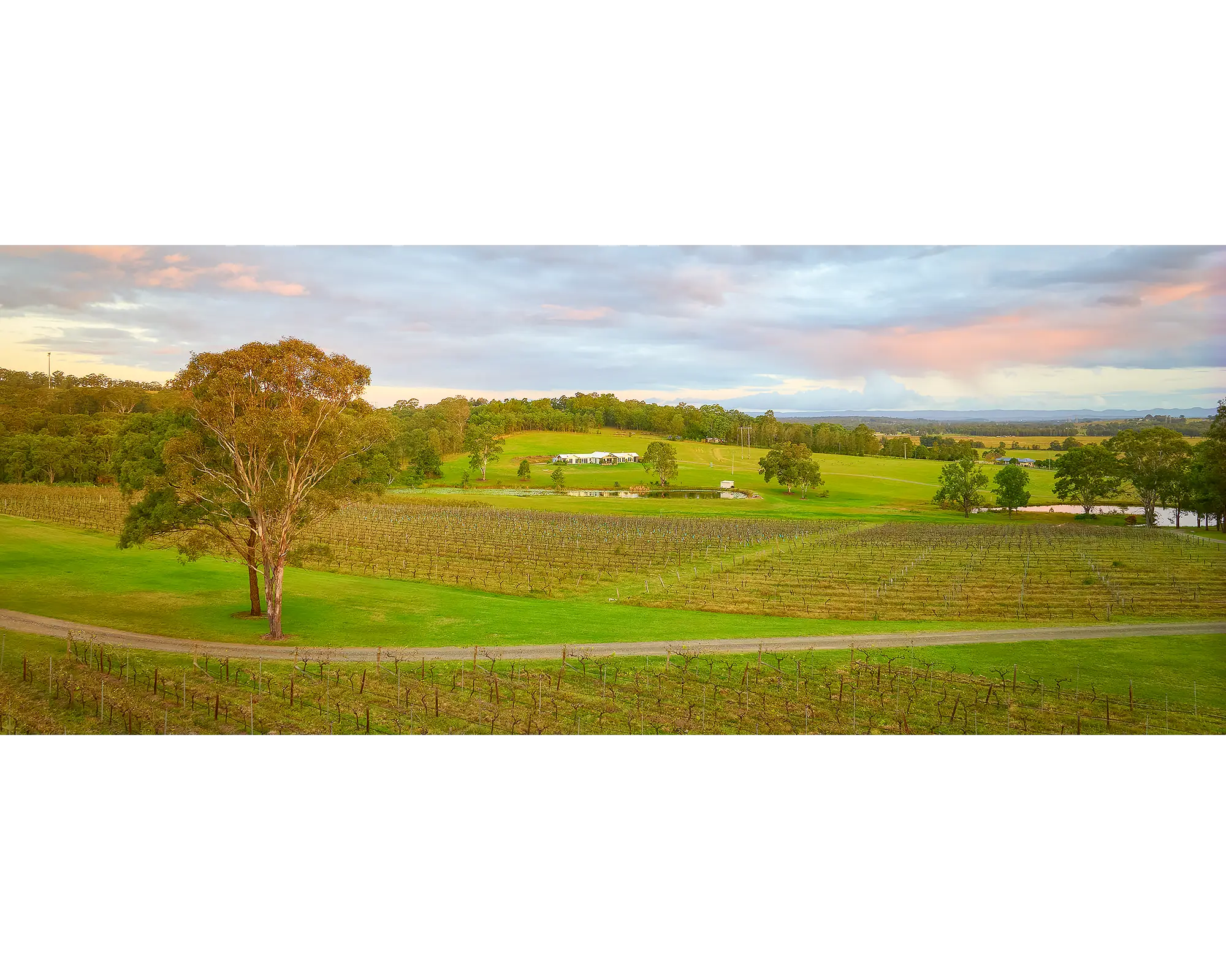 Hunter Valley Retreat. Molly Morgan winery at sunset.