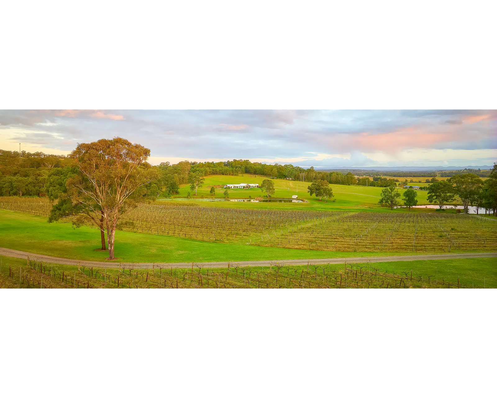 Hunter Valley Retreat. Molly Morgan winery at sunset.
