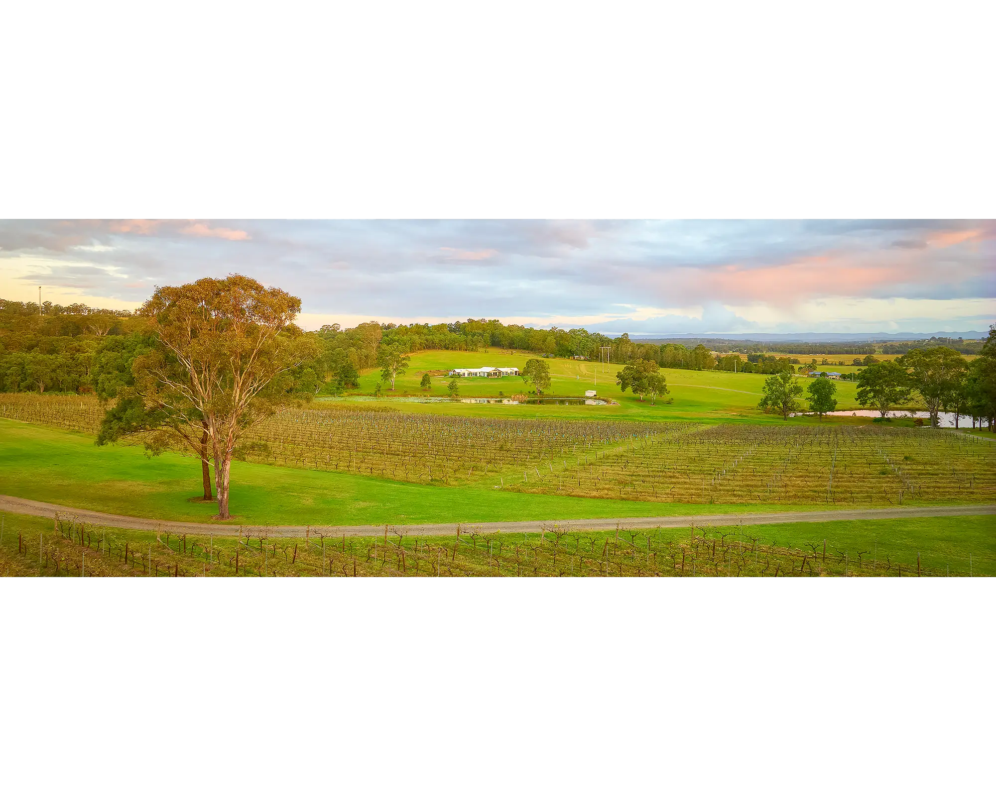 Hunter Valley Retreat. Molly Morgan winery at sunset.