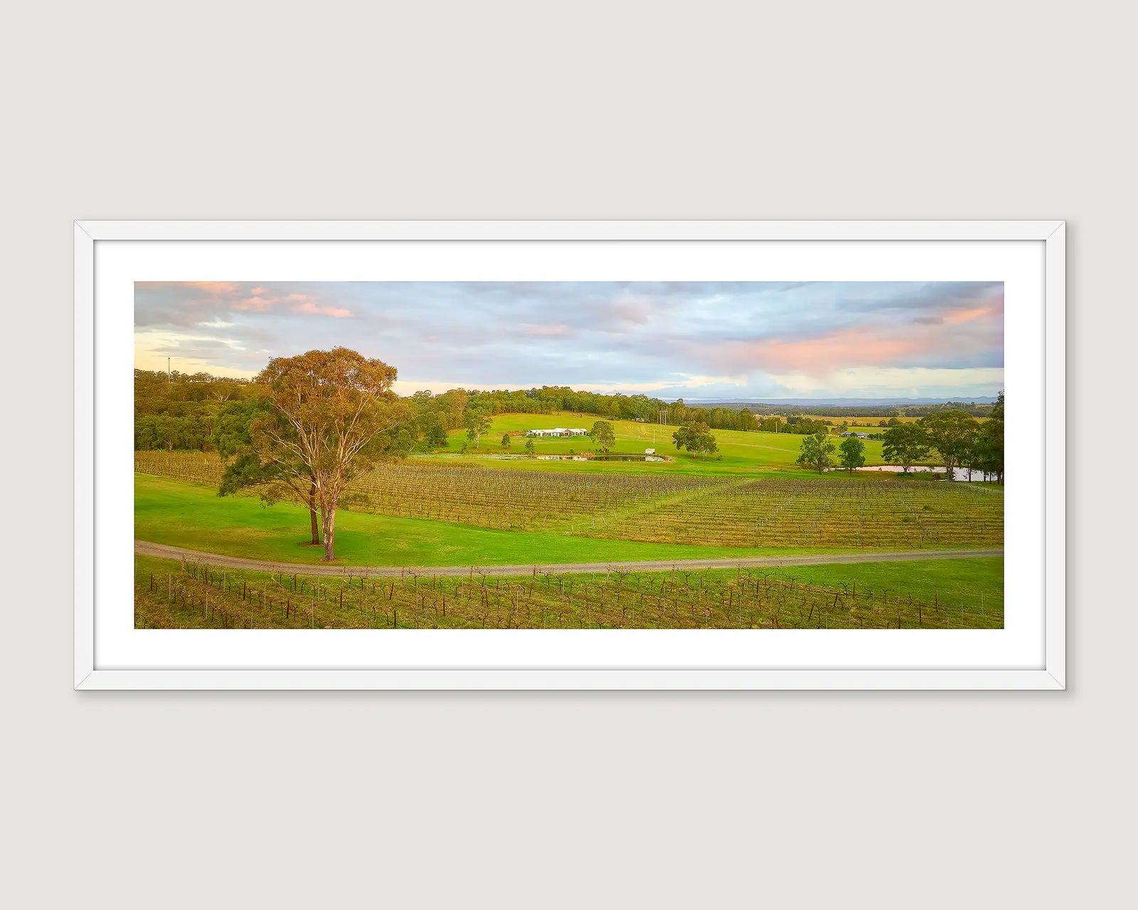 Framed photographic print of the Molly Morgan vineyard in the Hunter Valley. 
