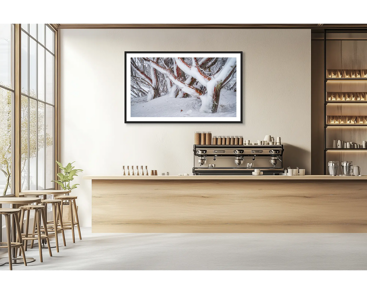 Iced. Framed wall art print of snow gums covered in snow and ice, with a black frame hung on a cafe wall. 
