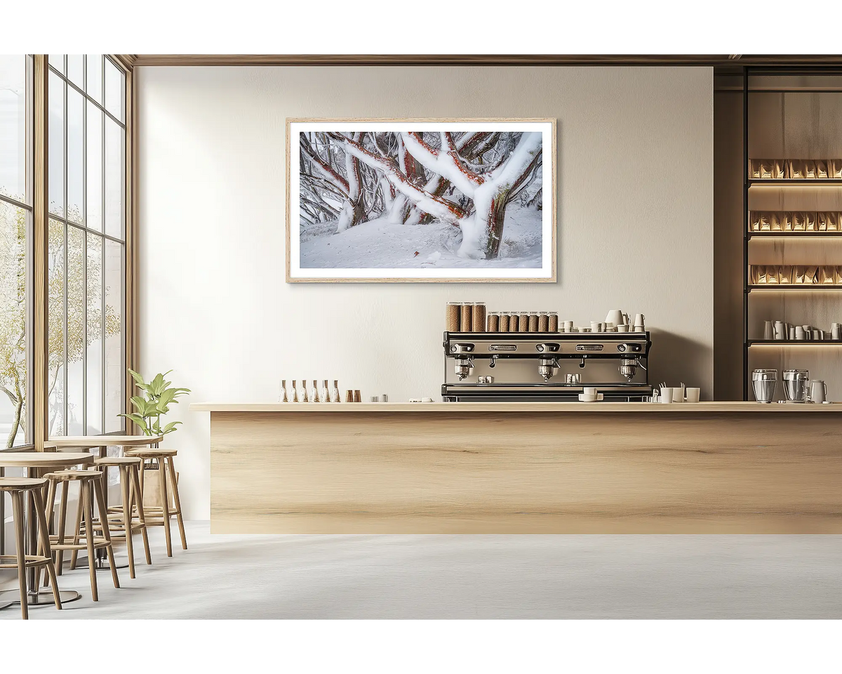 Iced. Framed wall art print of snow gums covered in snow and ice, with a timber frame hung on a cafe wall. 
