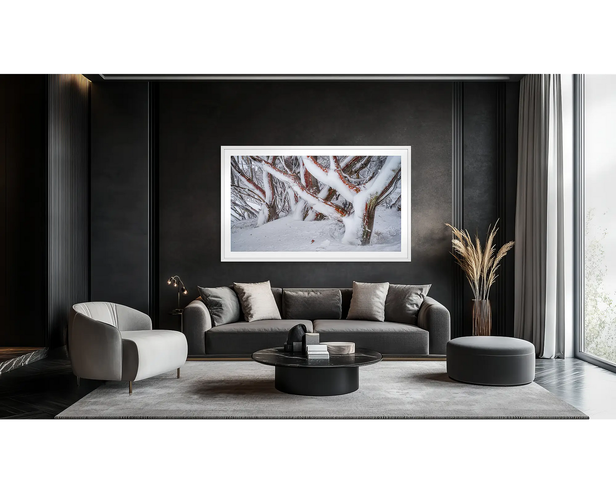 Iced. Framed wall art print of snow gums covered in snow and ice, with a white frame, and hung in a dark lounge room. 