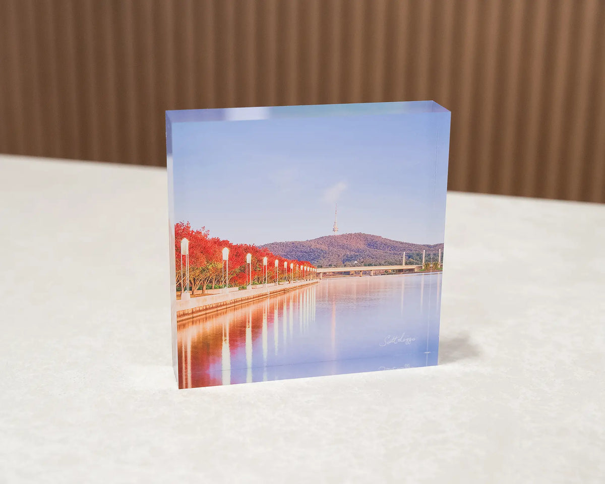 Impressions of Autumn. Acrylic block of autumn trees lining Lake Burley Griffin, Canberra, sititng on a desk.