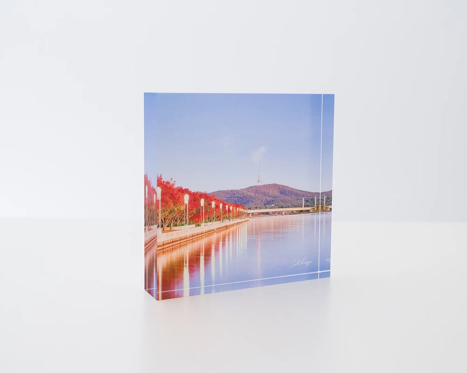 Impressions Of Autumn. Acrylic block of autumn trees lining Lake Burley Griffin, Canberra.