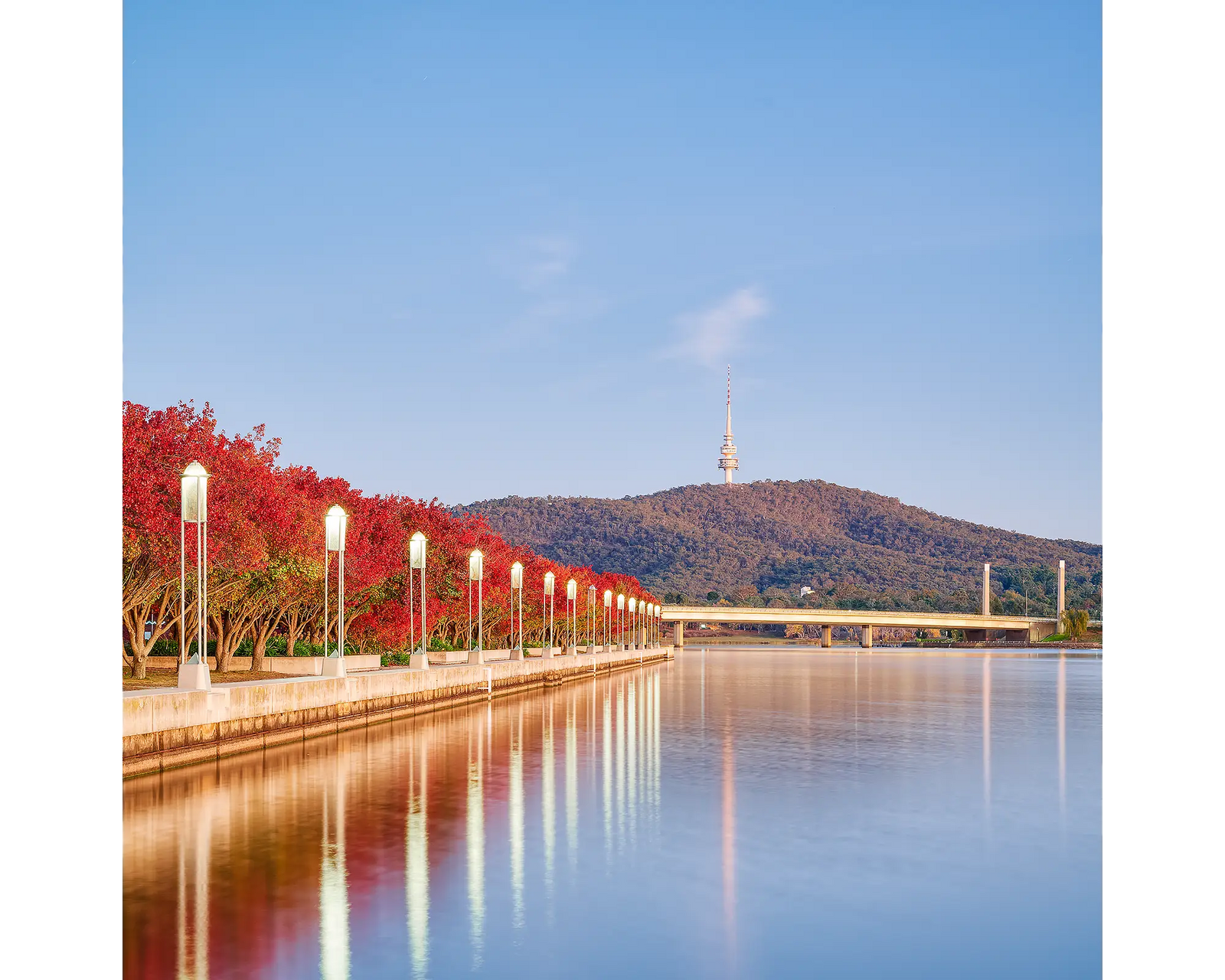 Impressions Of Autumn. Red trees beside Lake Burley Griffin at sunrise.