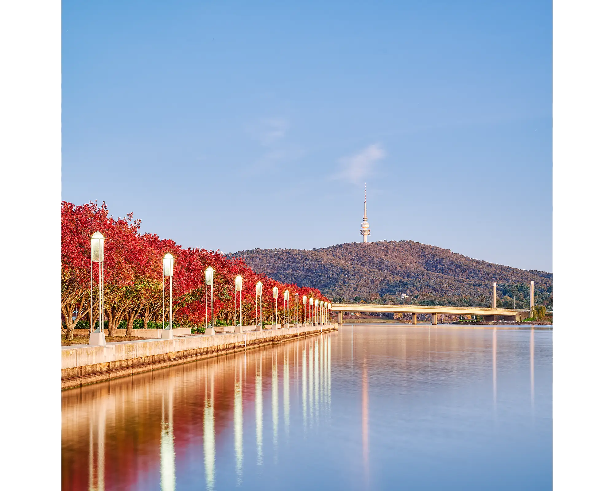 Impressions Of Autumn. Red trees beside Lake Burley Griffin at sunrise.